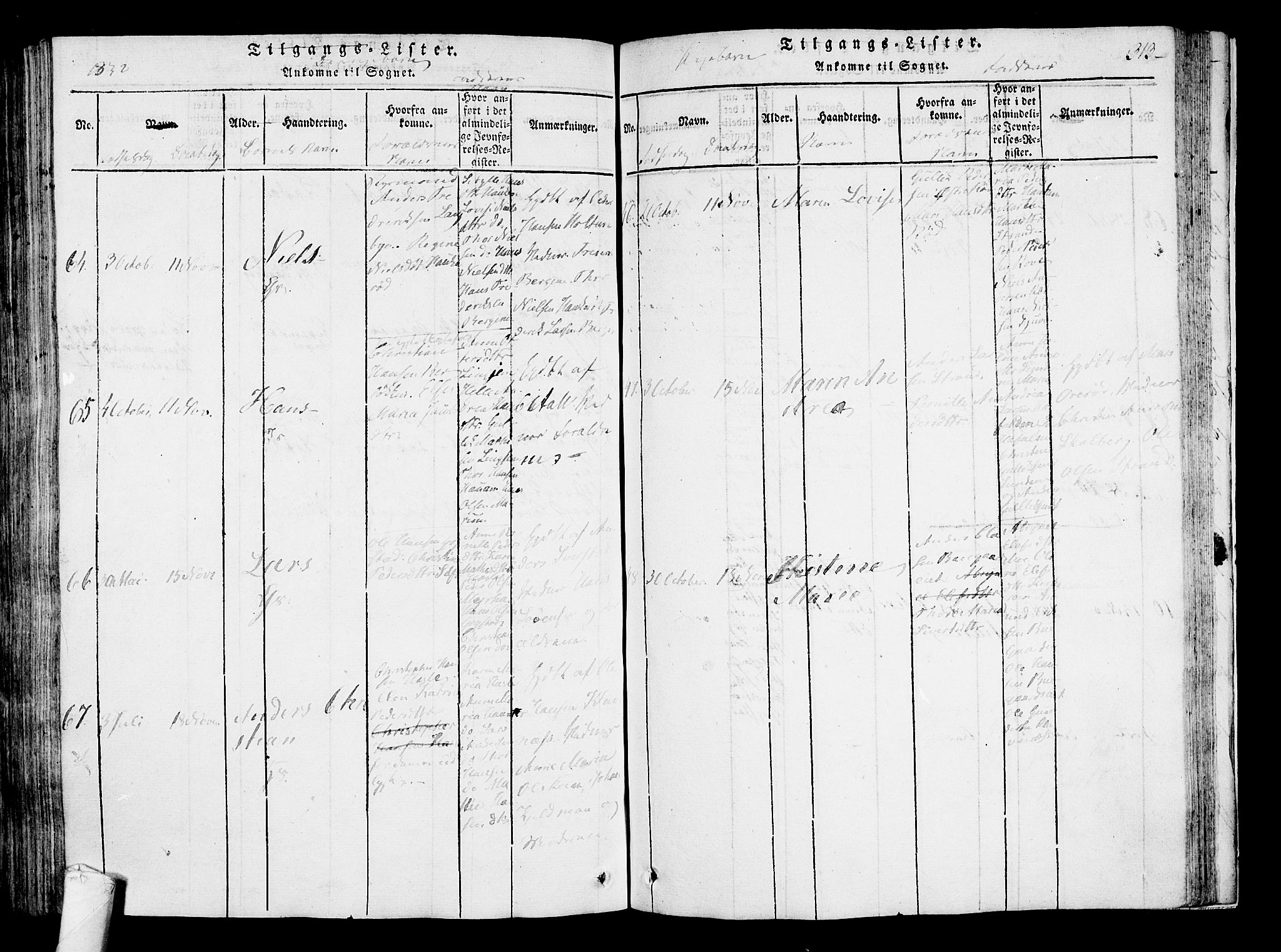 Sandar kirkebøker, AV/SAKO-A-243/F/Fa/L0004: Parish register (official) no. 4, 1814-1832, p. 313