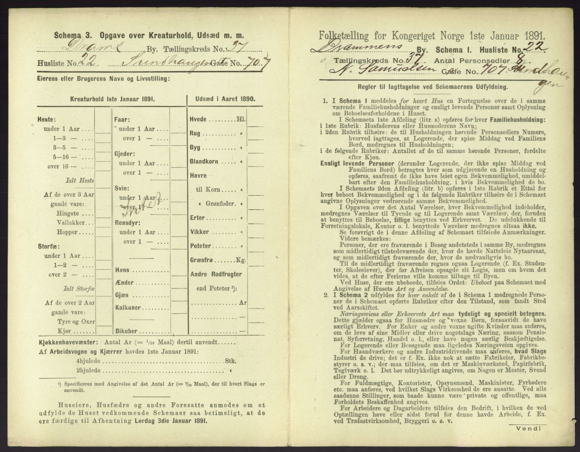 RA, 1891 census for 0602 Drammen, 1891, p. 3403