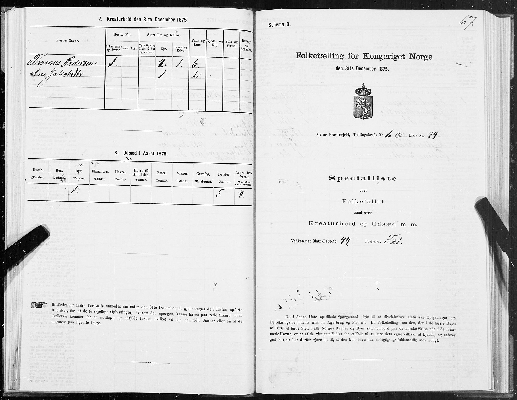 SAT, 1875 census for 1828P Nesna, 1875, p. 1067