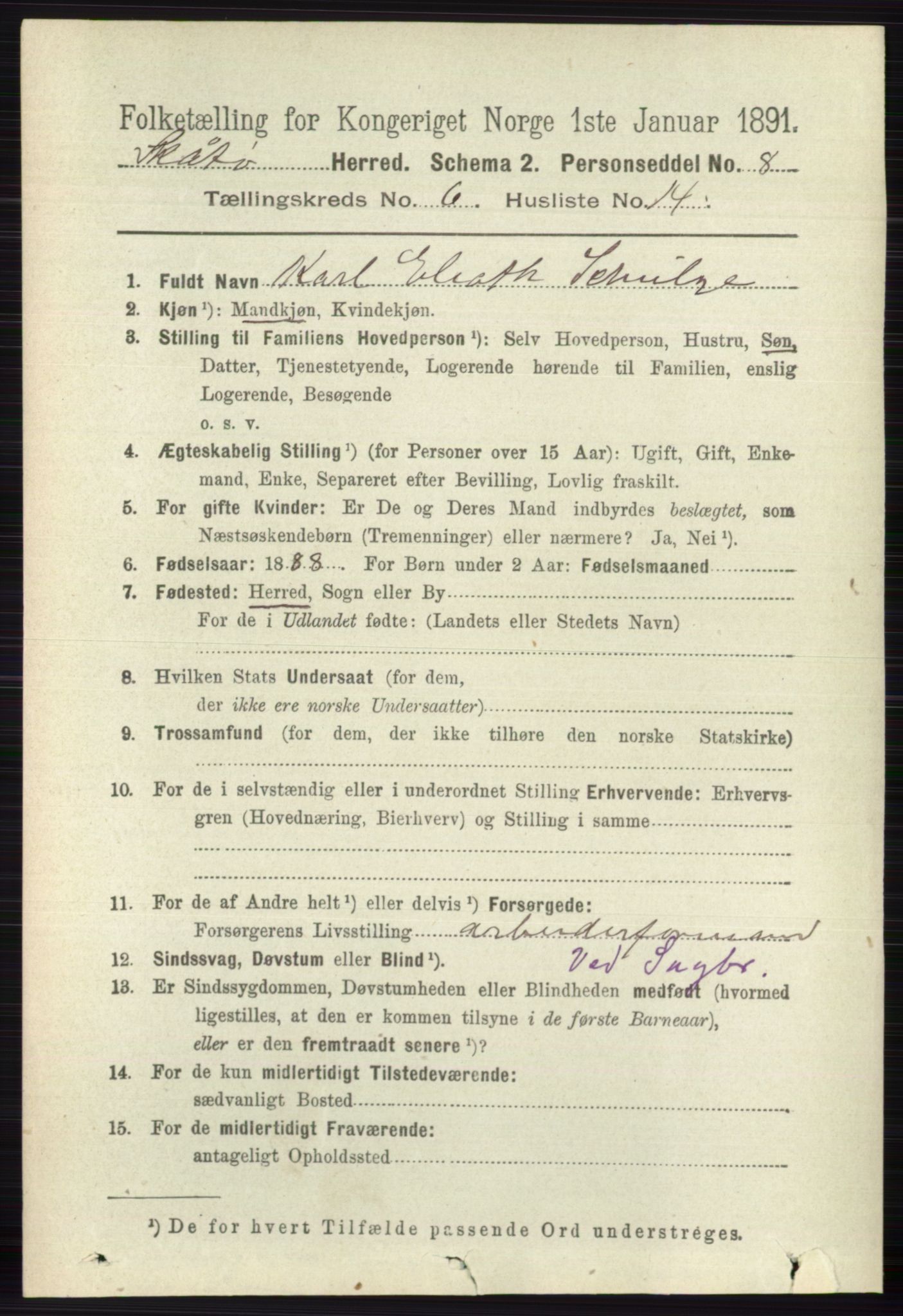 RA, 1891 census for 0815 Skåtøy, 1891, p. 2995