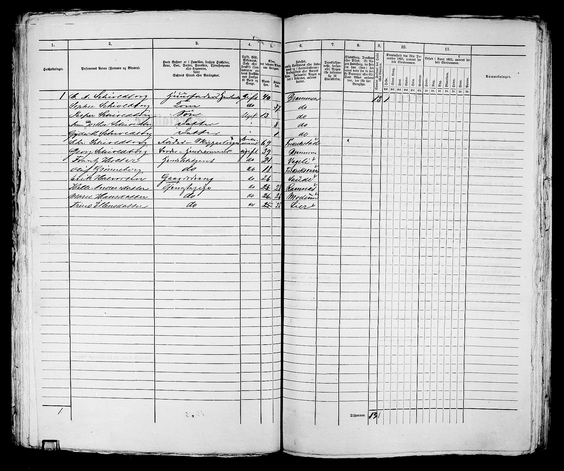 RA, 1865 census for Strømsø in Drammen, 1865, p. 258