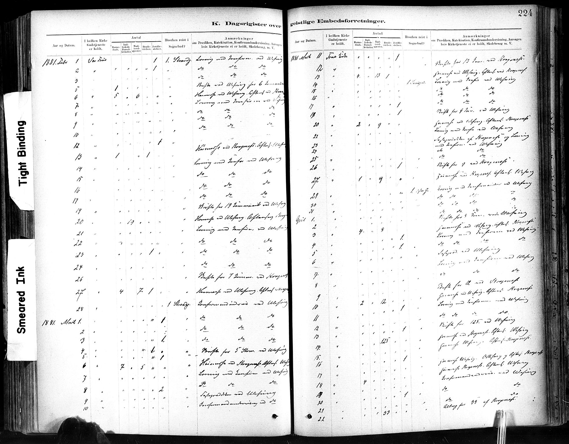 Ministerialprotokoller, klokkerbøker og fødselsregistre - Sør-Trøndelag, SAT/A-1456/602/L0120: Parish register (official) no. 602A18, 1880-1913, p. 224