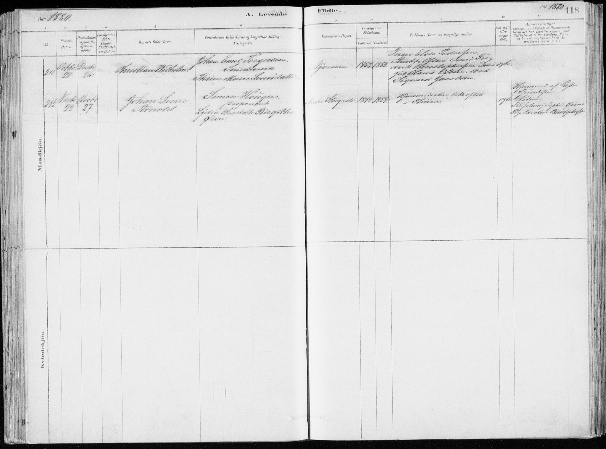 Bragernes kirkebøker, SAKO/A-6/F/Fb/L0006a: Parish register (official) no. II 6A, 1878-1885, p. 118