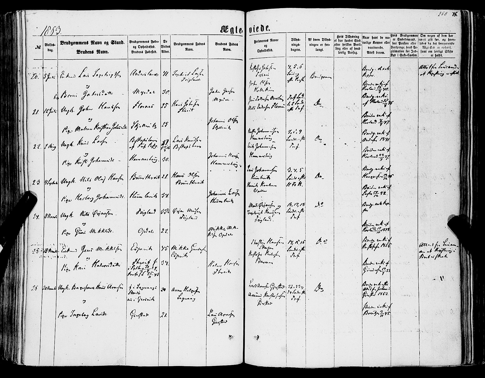 Tysnes sokneprestembete, SAB/A-78601/H/Haa: Parish register (official) no. A 11, 1860-1871, p. 260