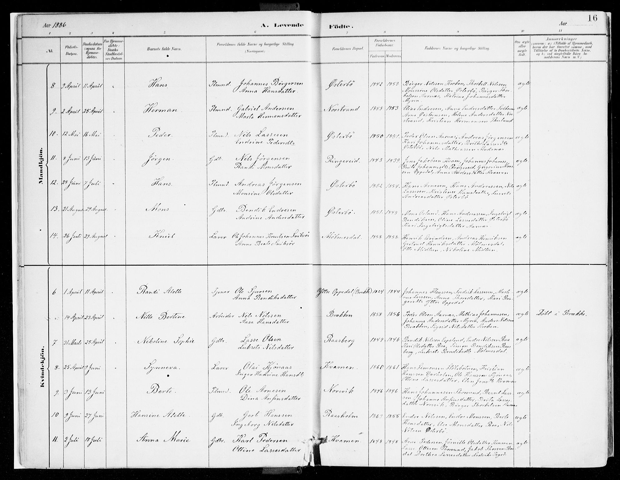 Lavik sokneprestembete, AV/SAB-A-80901: Parish register (official) no. B 1, 1882-1908, p. 16