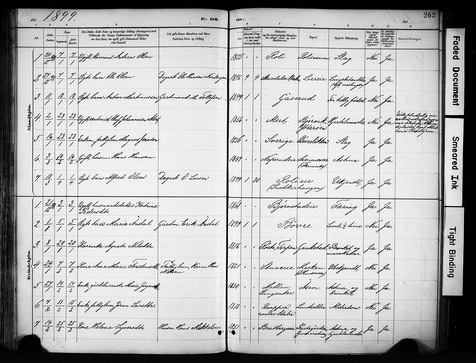 Biri prestekontor, SAH/PREST-096/H/Ha/Haa/L0009: Parish register (official) no. 9, 1887-1900, p. 262