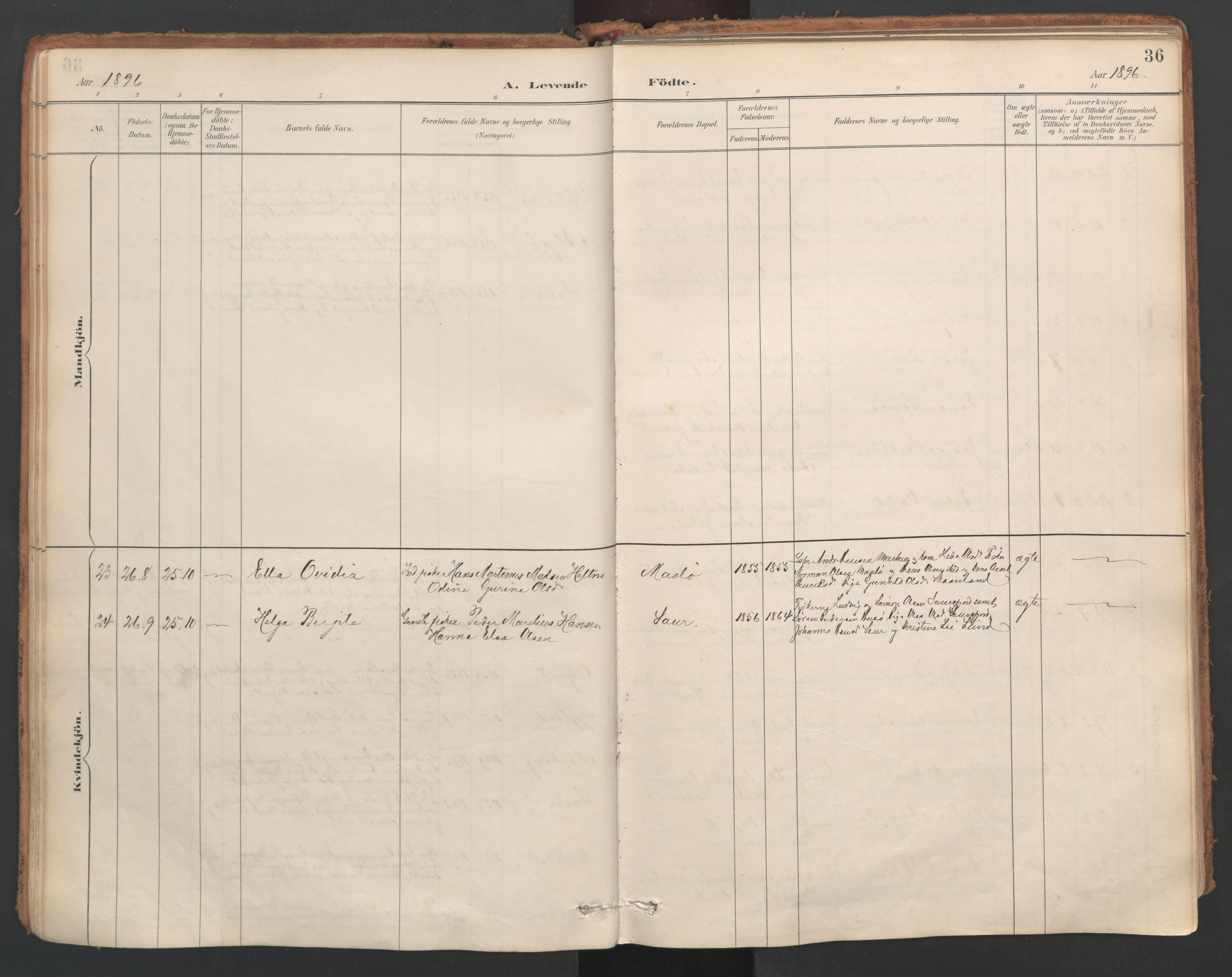 Ministerialprotokoller, klokkerbøker og fødselsregistre - Nordland, AV/SAT-A-1459/857/L0822: Parish register (official) no. 857A02, 1890-1917, p. 36