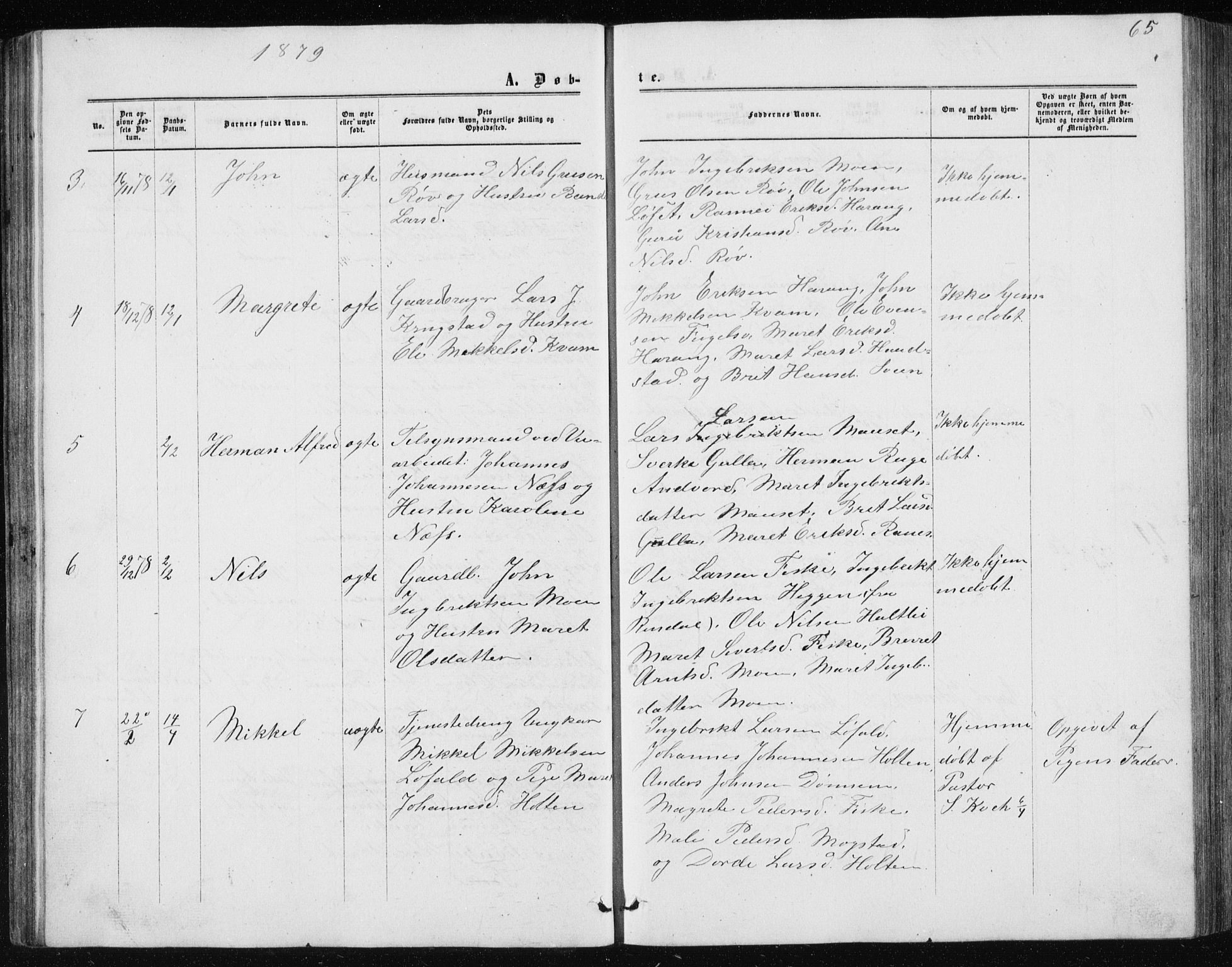 Ministerialprotokoller, klokkerbøker og fødselsregistre - Møre og Romsdal, AV/SAT-A-1454/597/L1064: Parish register (copy) no. 597C01, 1866-1898, p. 65