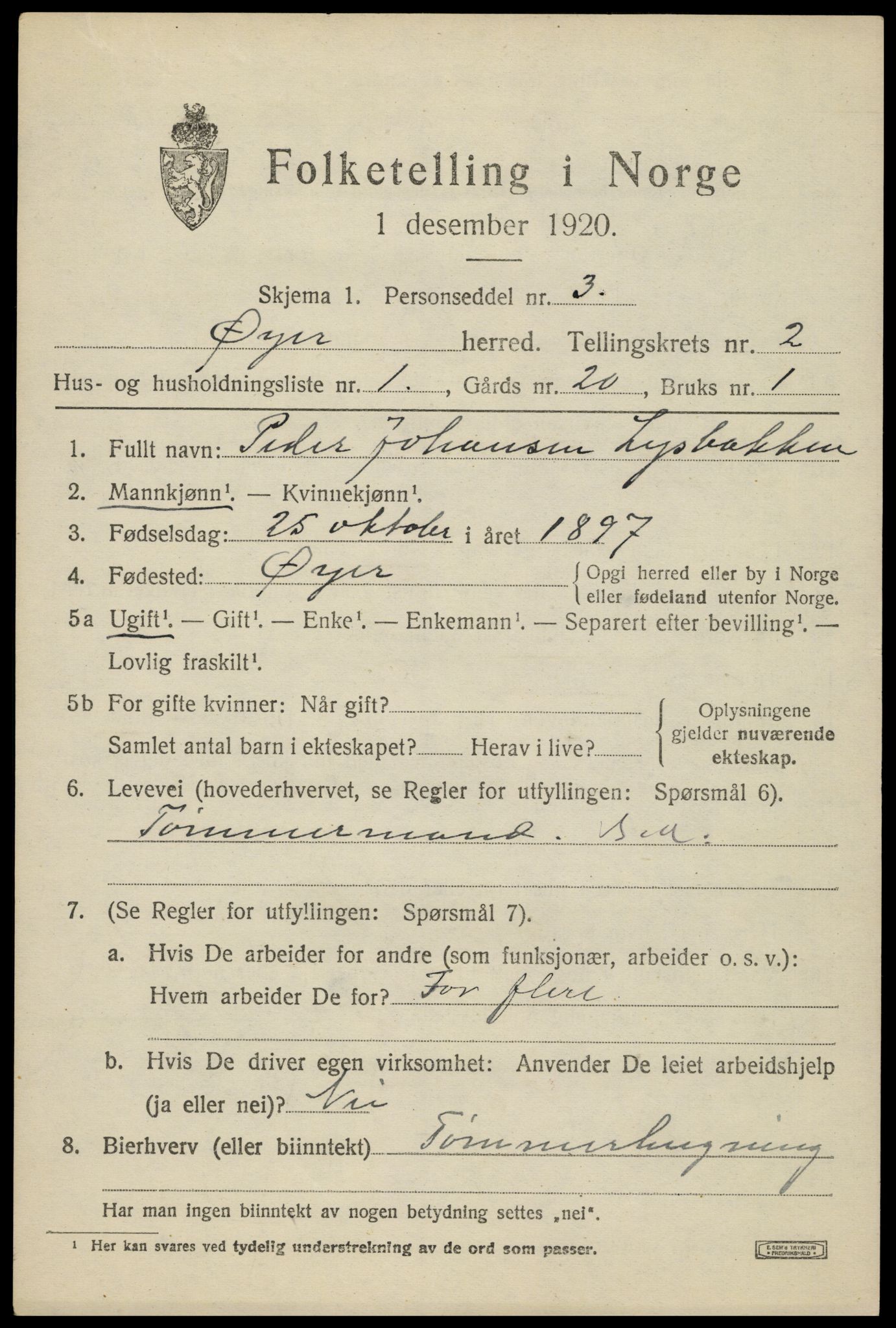 SAH, 1920 census for Øyer, 1920, p. 2133