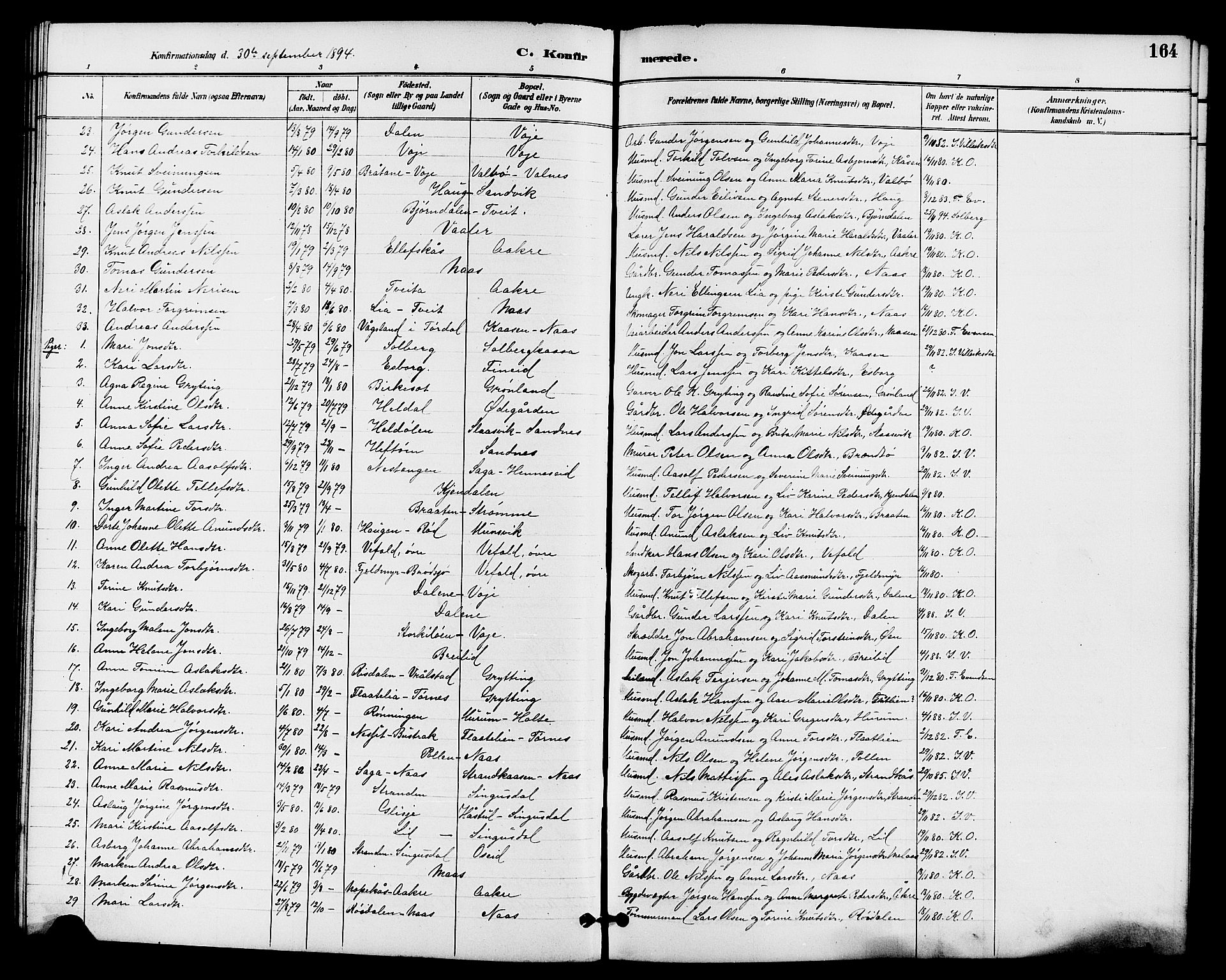 Drangedal kirkebøker, SAKO/A-258/G/Ga/L0003: Parish register (copy) no. I 3, 1887-1906, p. 164