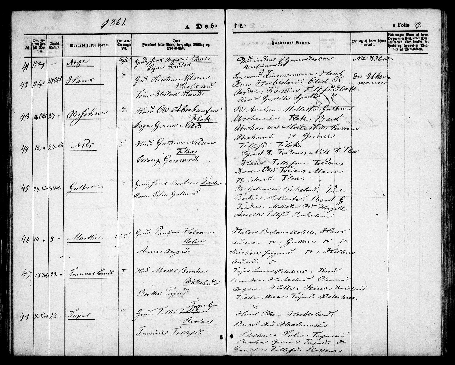 Birkenes sokneprestkontor, SAK/1111-0004/F/Fb/L0002: Parish register (copy) no. B 2, 1849-1876, p. 79