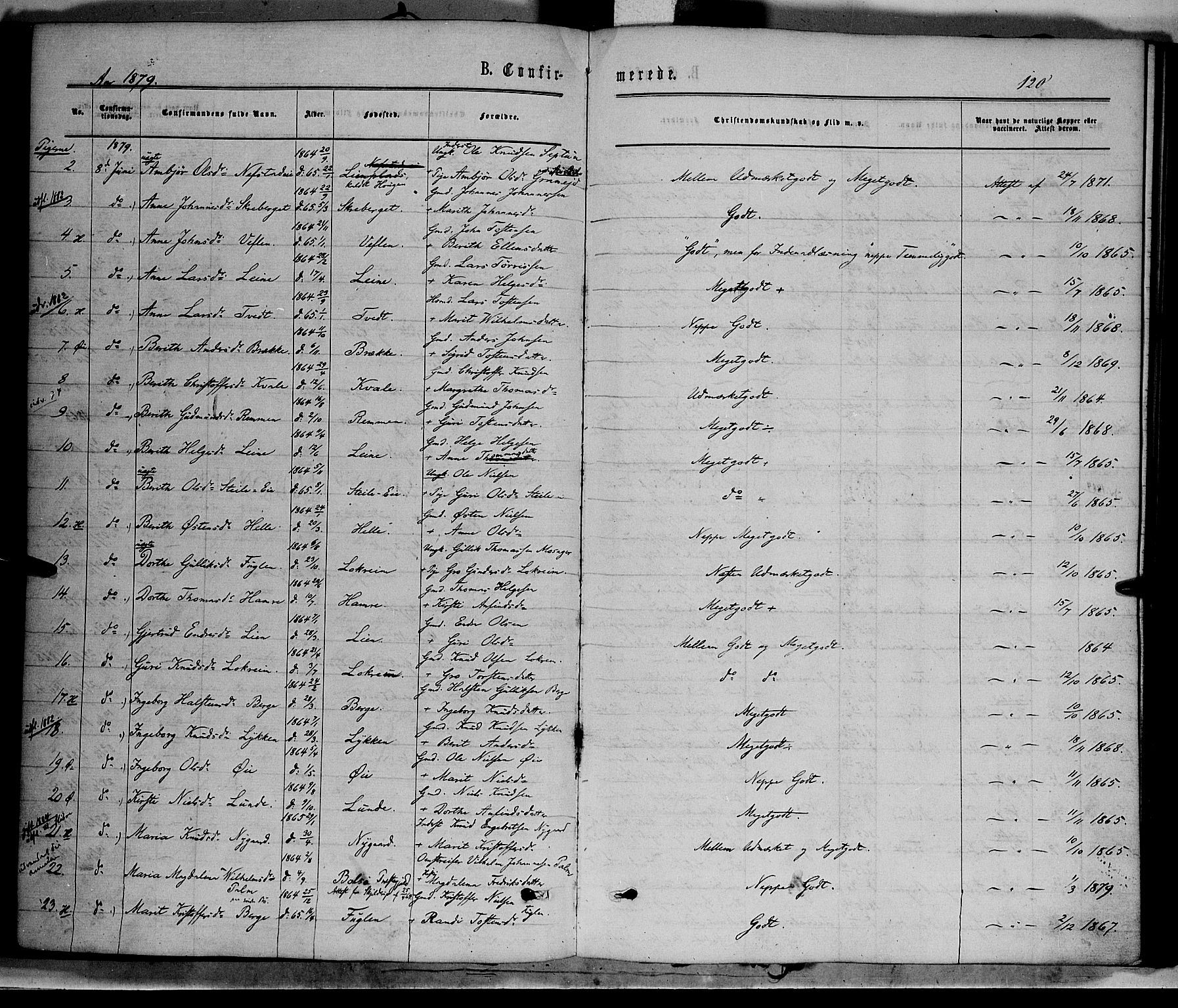 Vang prestekontor, Valdres, SAH/PREST-140/H/Ha/L0007: Parish register (official) no. 7, 1865-1881, p. 120