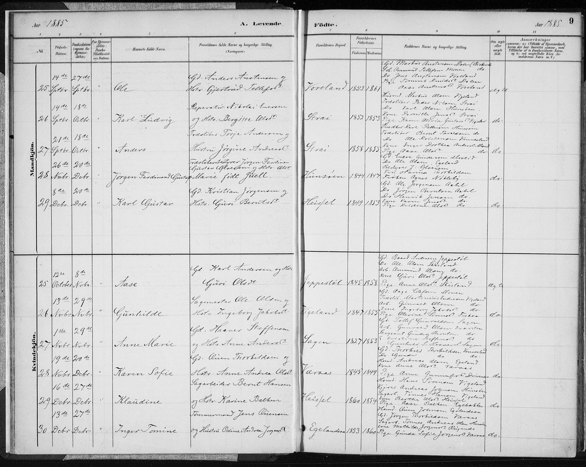 Vennesla sokneprestkontor, AV/SAK-1111-0045/Fa/Fab/L0004: Parish register (official) no. A 4, 1884-1896, p. 9