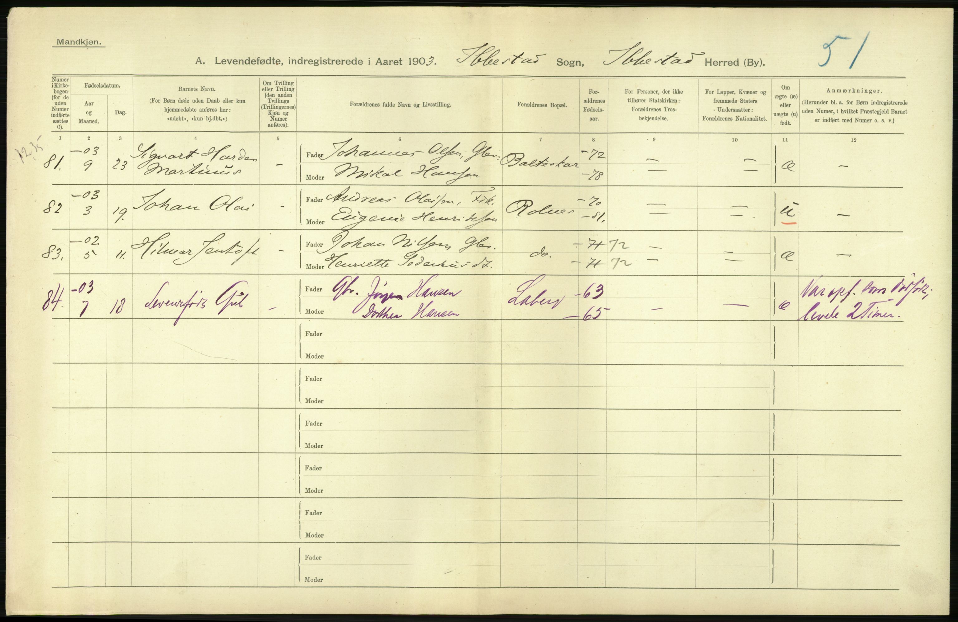 Statistisk sentralbyrå, Sosiodemografiske emner, Befolkning, AV/RA-S-2228/D/Df/Dfa/Dfaa/L0021: Tromsø amt: Fødte, gifte, døde., 1903, p. 36