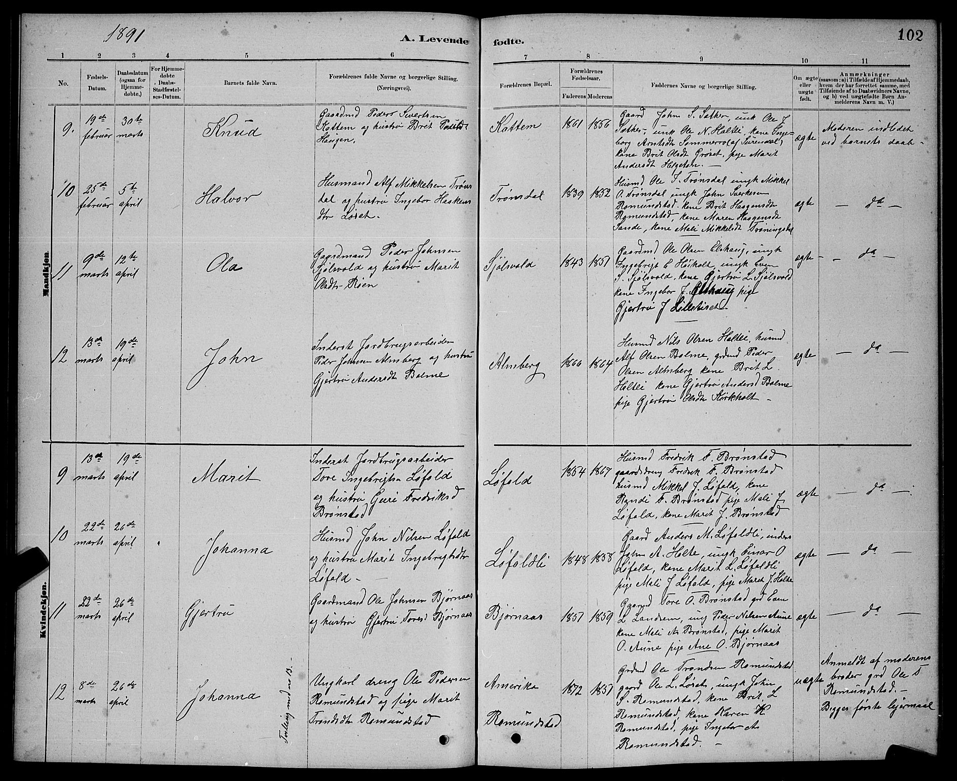 Ministerialprotokoller, klokkerbøker og fødselsregistre - Møre og Romsdal, AV/SAT-A-1454/598/L1077: Parish register (copy) no. 598C02, 1879-1891, p. 102