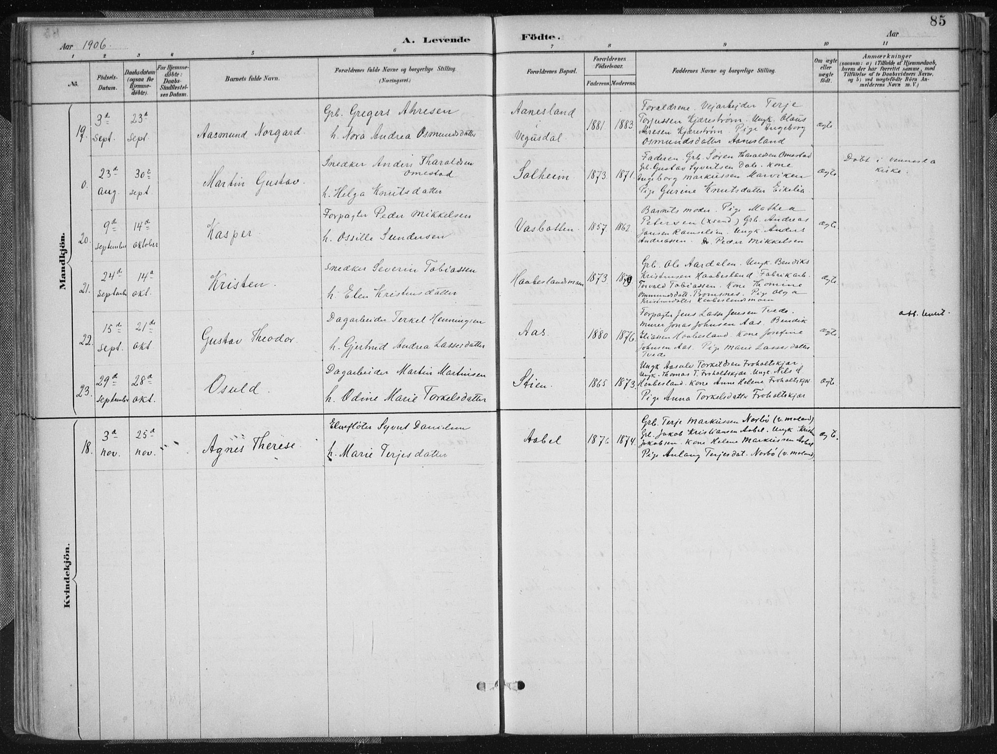 Birkenes sokneprestkontor, SAK/1111-0004/F/Fa/L0005: Parish register (official) no. A 5, 1887-1907, p. 85