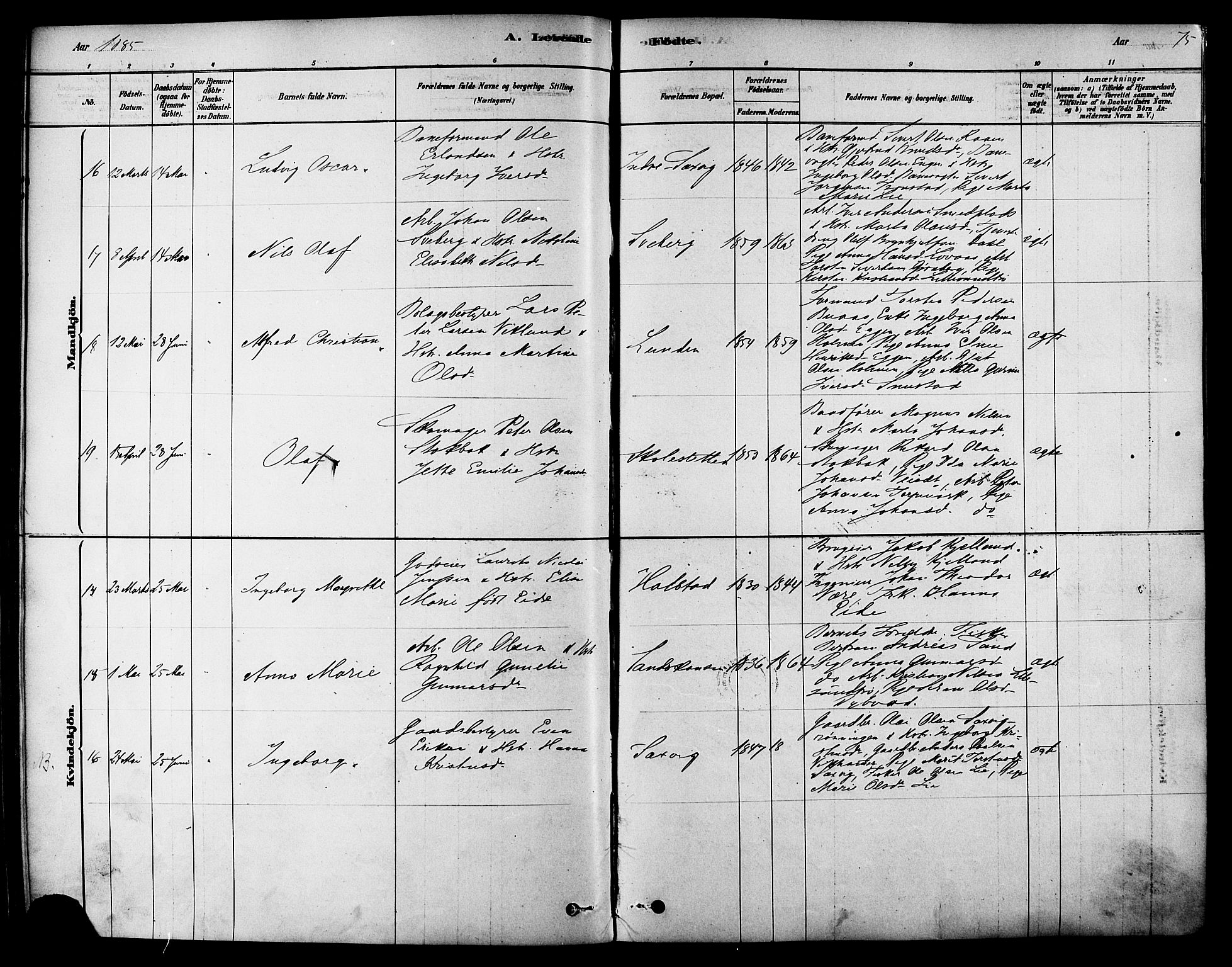 Ministerialprotokoller, klokkerbøker og fødselsregistre - Sør-Trøndelag, AV/SAT-A-1456/616/L0410: Parish register (official) no. 616A07, 1878-1893, p. 75