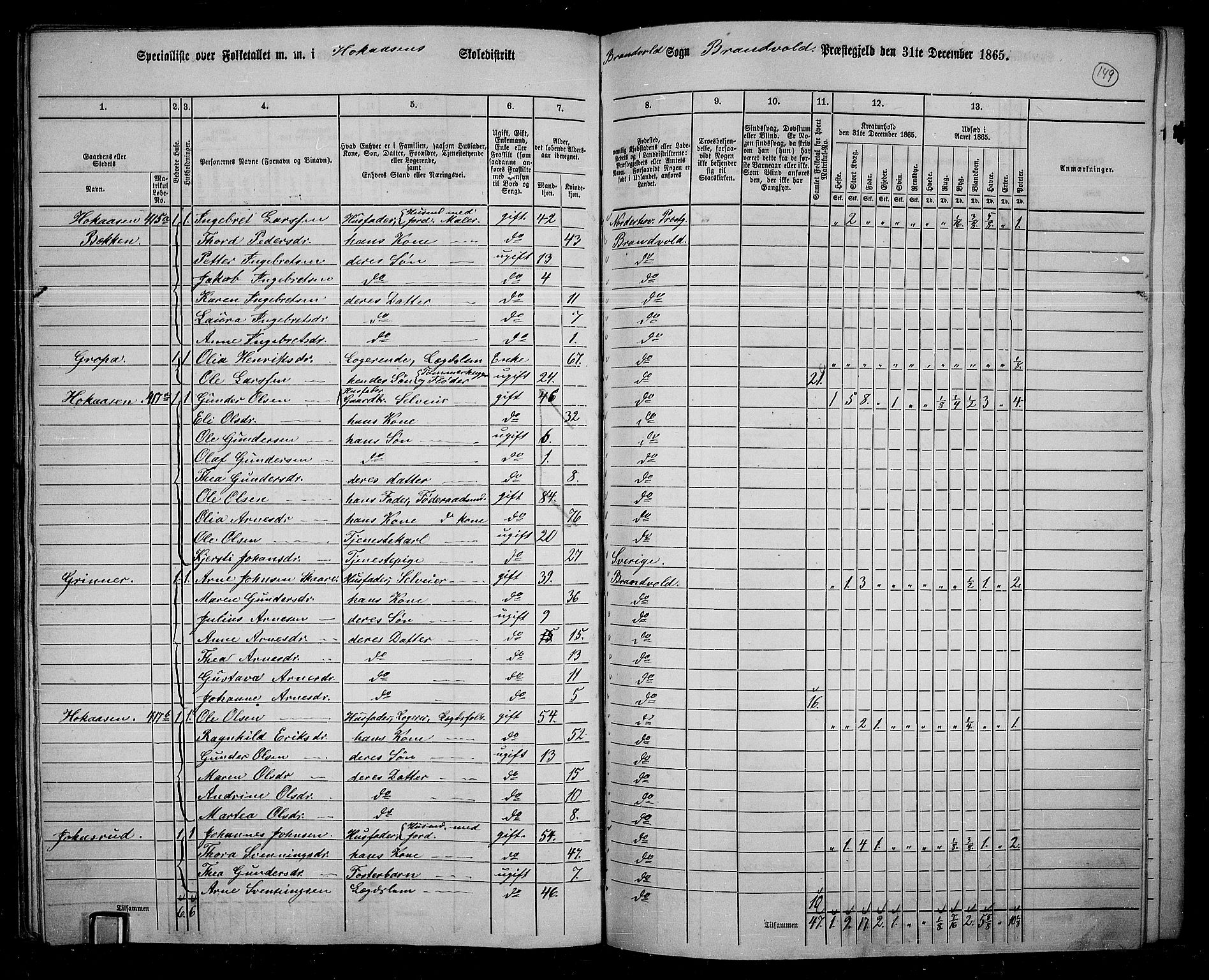 RA, 1865 census for Brandval, 1865, p. 126