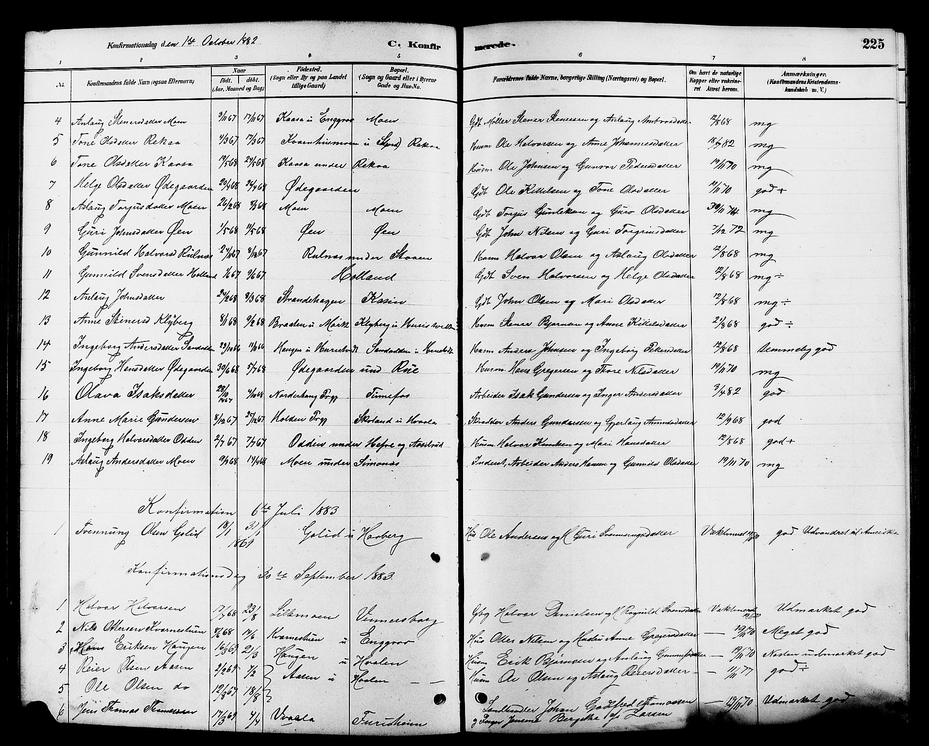 Heddal kirkebøker, SAKO/A-268/G/Ga/L0002: Parish register (copy) no. I 2, 1879-1908, p. 225