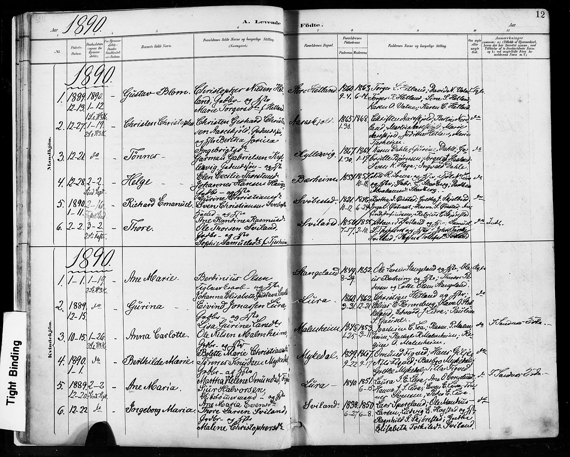 Høyland sokneprestkontor, SAST/A-101799/001/30BA/L0013: Parish register (official) no. A 13.1, 1889-1898, p. 12