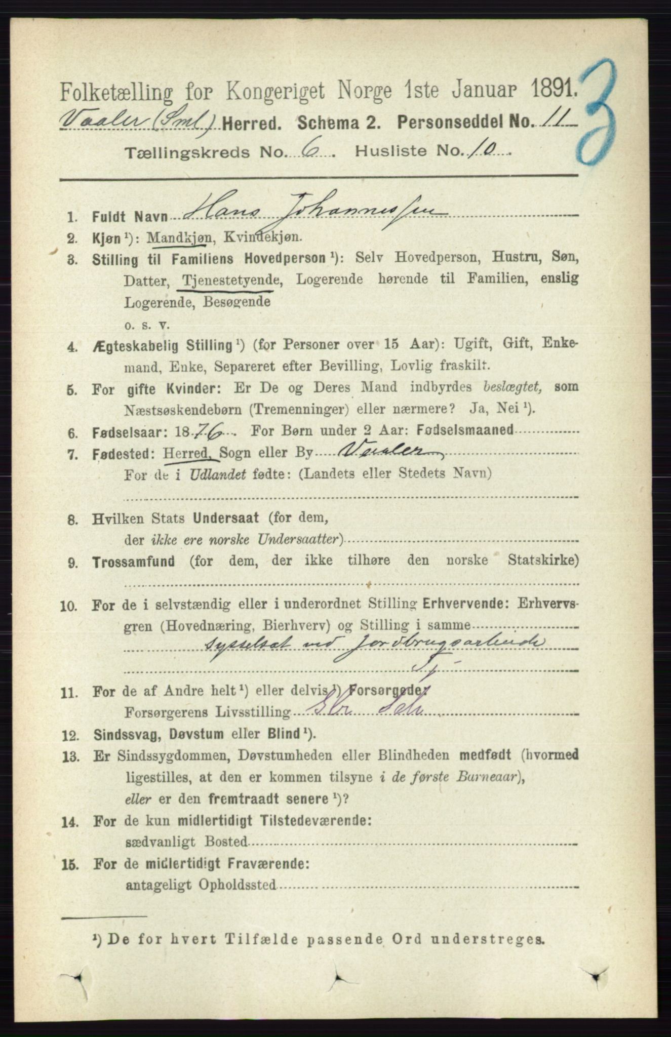 RA, 1891 census for 0137 Våler, 1891, p. 2397