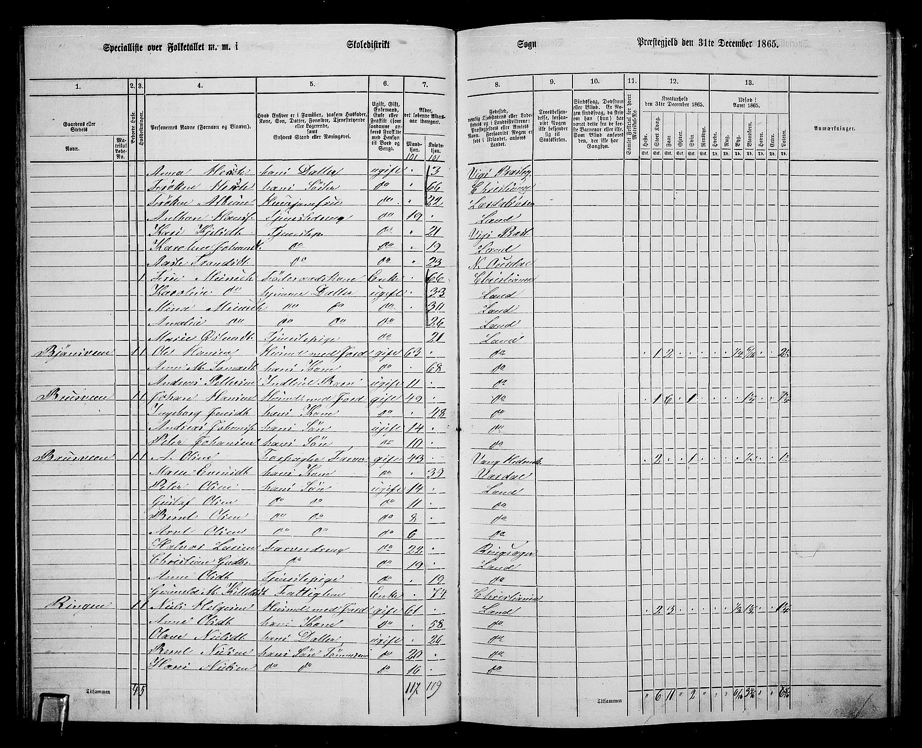 RA, 1865 census for Land, 1865, p. 263