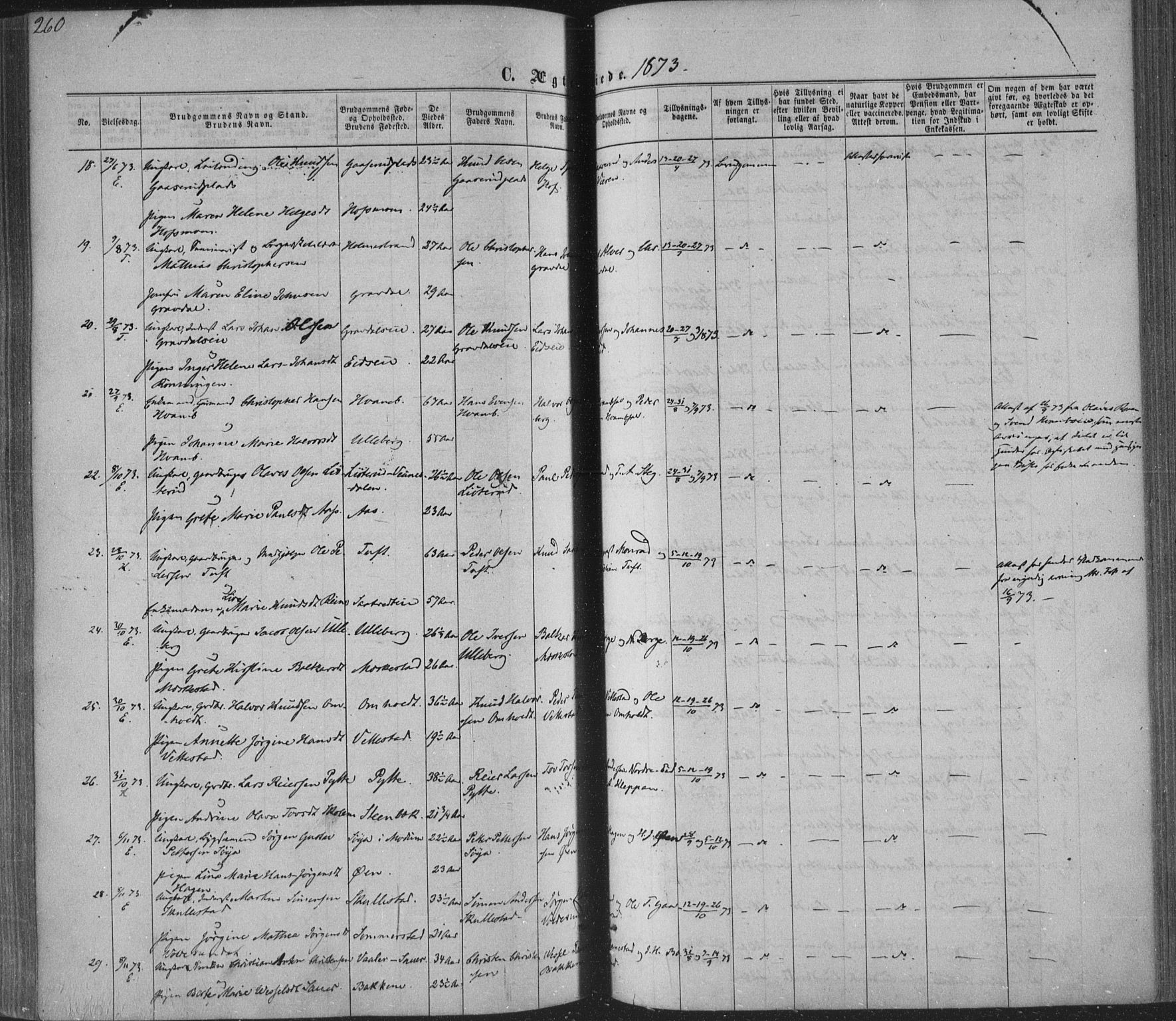 Sandsvær kirkebøker, AV/SAKO-A-244/F/Fa/L0007: Parish register (official) no. I 7, 1869-1877, p. 260