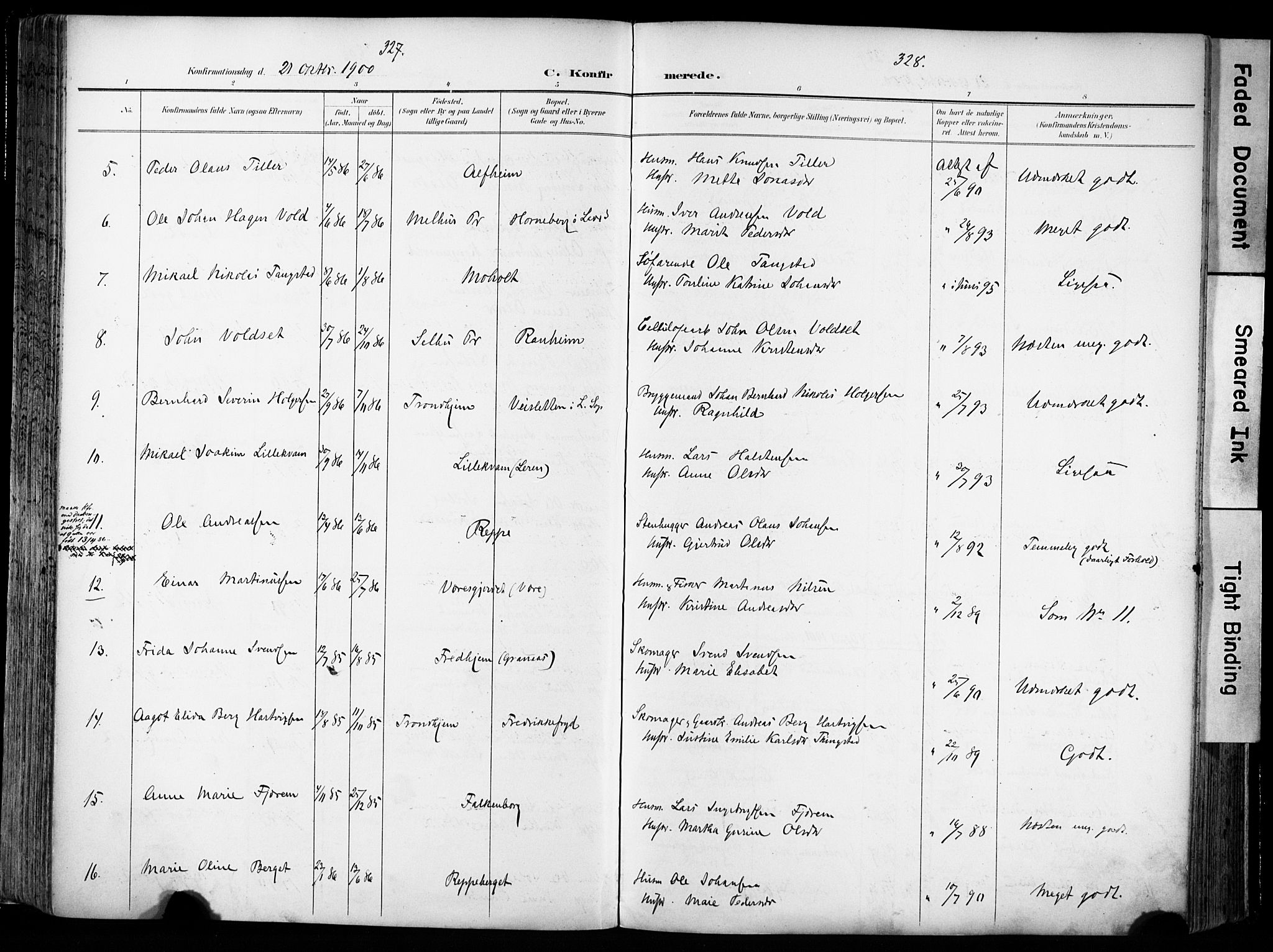 Ministerialprotokoller, klokkerbøker og fødselsregistre - Sør-Trøndelag, AV/SAT-A-1456/606/L0301: Parish register (official) no. 606A16, 1894-1907, p. 327-328