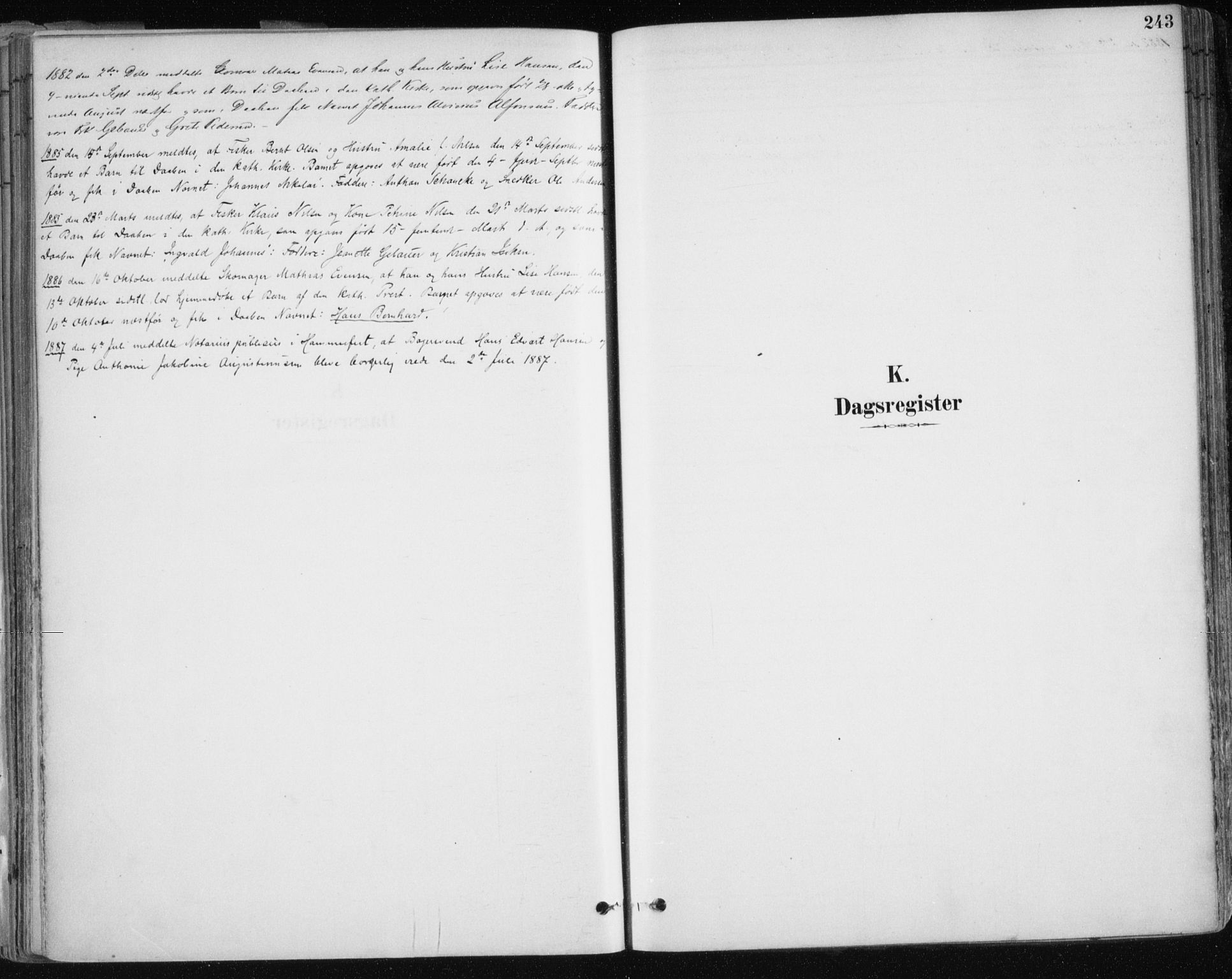 Hammerfest sokneprestkontor, SATØ/S-1347/H/Ha/L0008.kirke: Parish register (official) no. 8, 1878-1889, p. 243