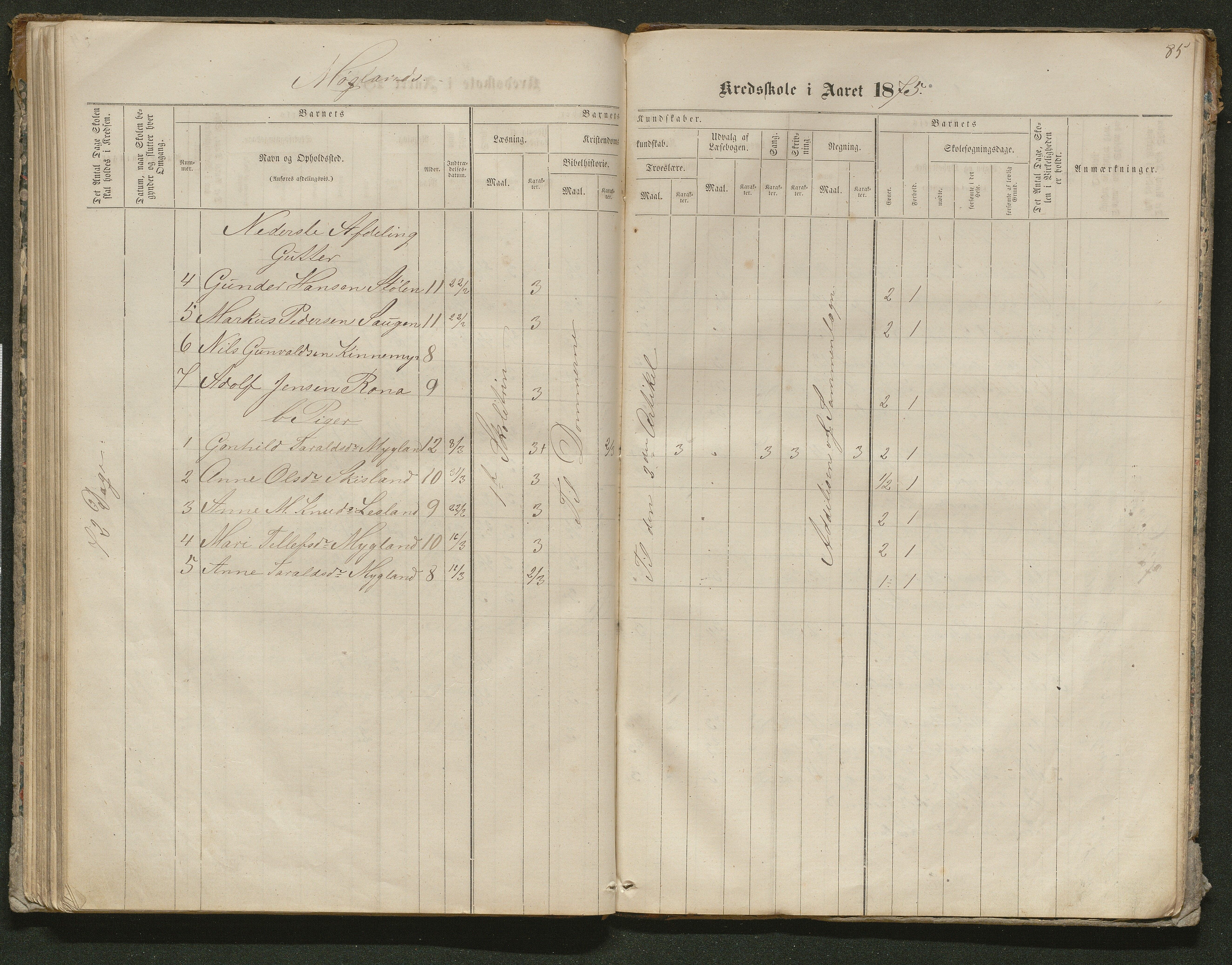 Iveland kommune, De enkelte kretsene/Skolene, AAKS/KA0935-550/A_10/L0005: Skoleprotokoll for Frøyså og Mykland krets, 1864-1881, p. 85