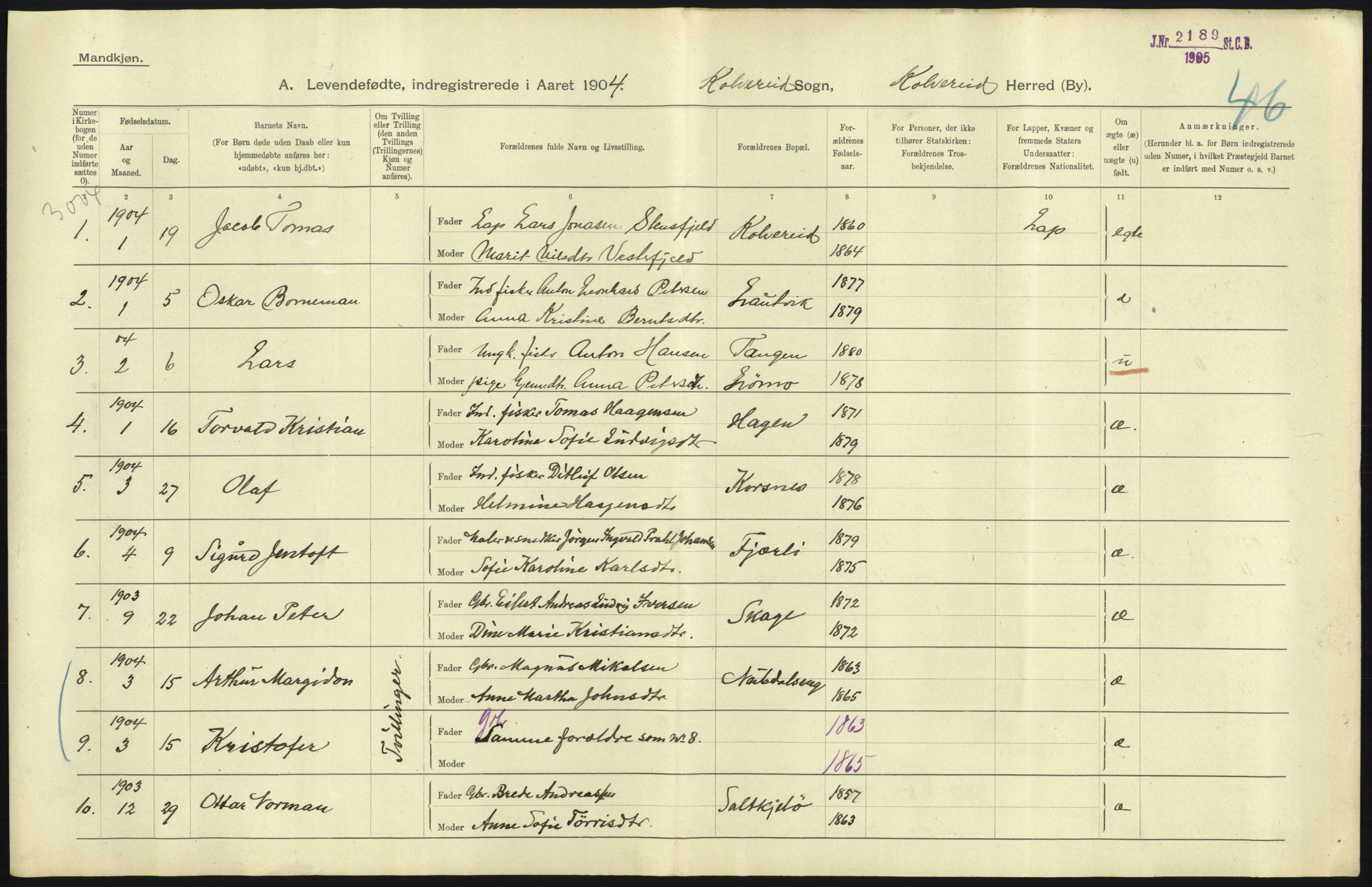 Statistisk sentralbyrå, Sosiodemografiske emner, Befolkning, AV/RA-S-2228/D/Df/Dfa/Dfab/L0019: Nordre Trondhjems amt: Fødte, gifte, døde, 1904, p. 309