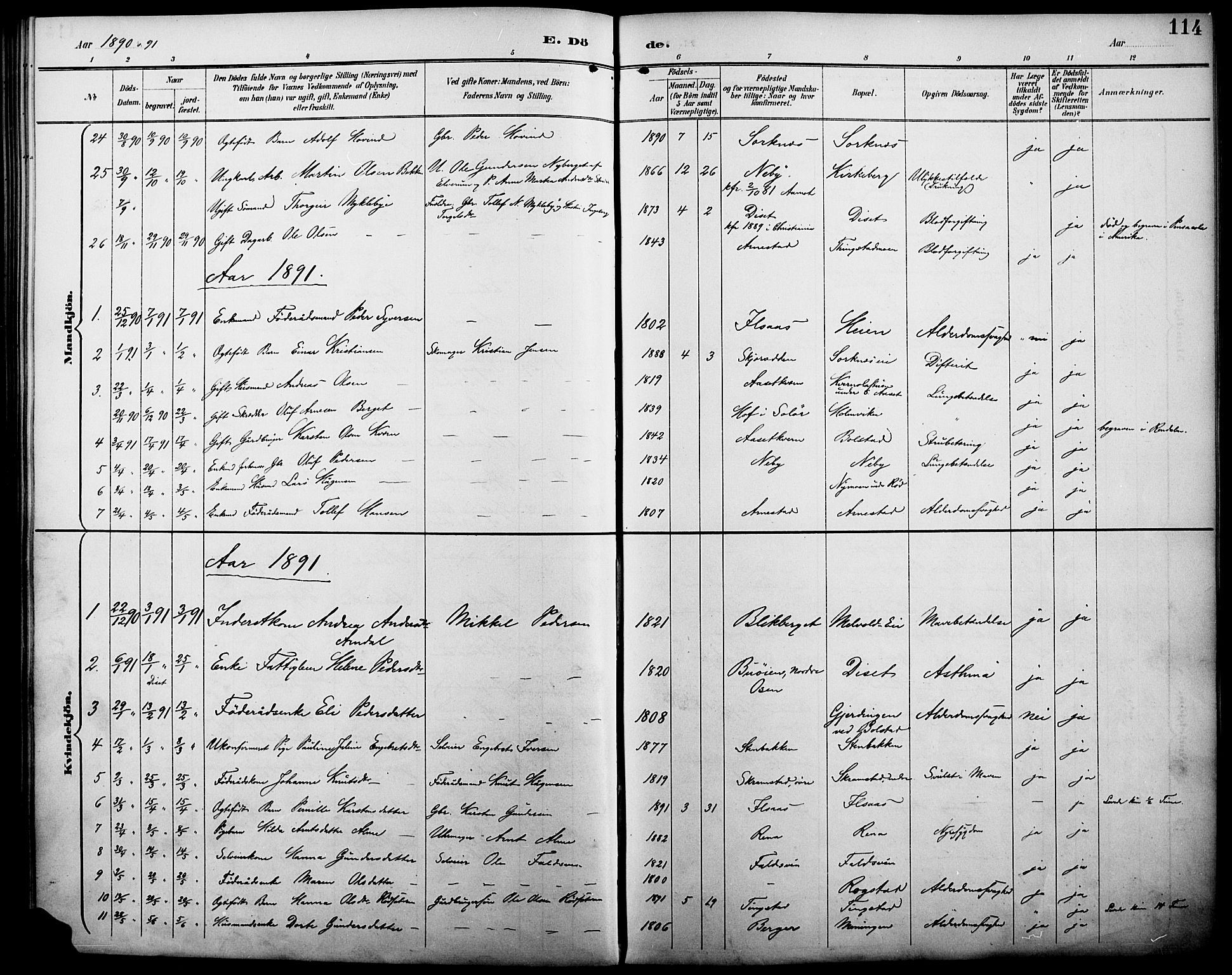 Åmot prestekontor, Hedmark, SAH/PREST-056/H/Ha/Haa/L0011: Parish register (official) no. 11, 1890-1897, p. 114