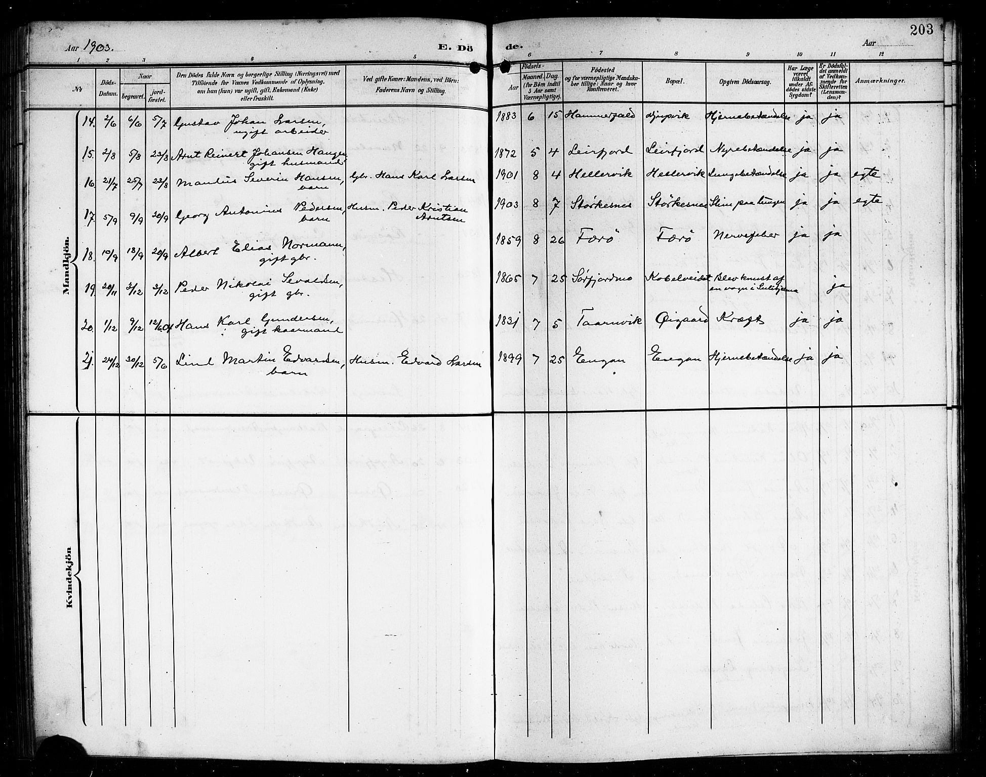 Ministerialprotokoller, klokkerbøker og fødselsregistre - Nordland, AV/SAT-A-1459/854/L0786: Parish register (copy) no. 854C02, 1901-1912, p. 203