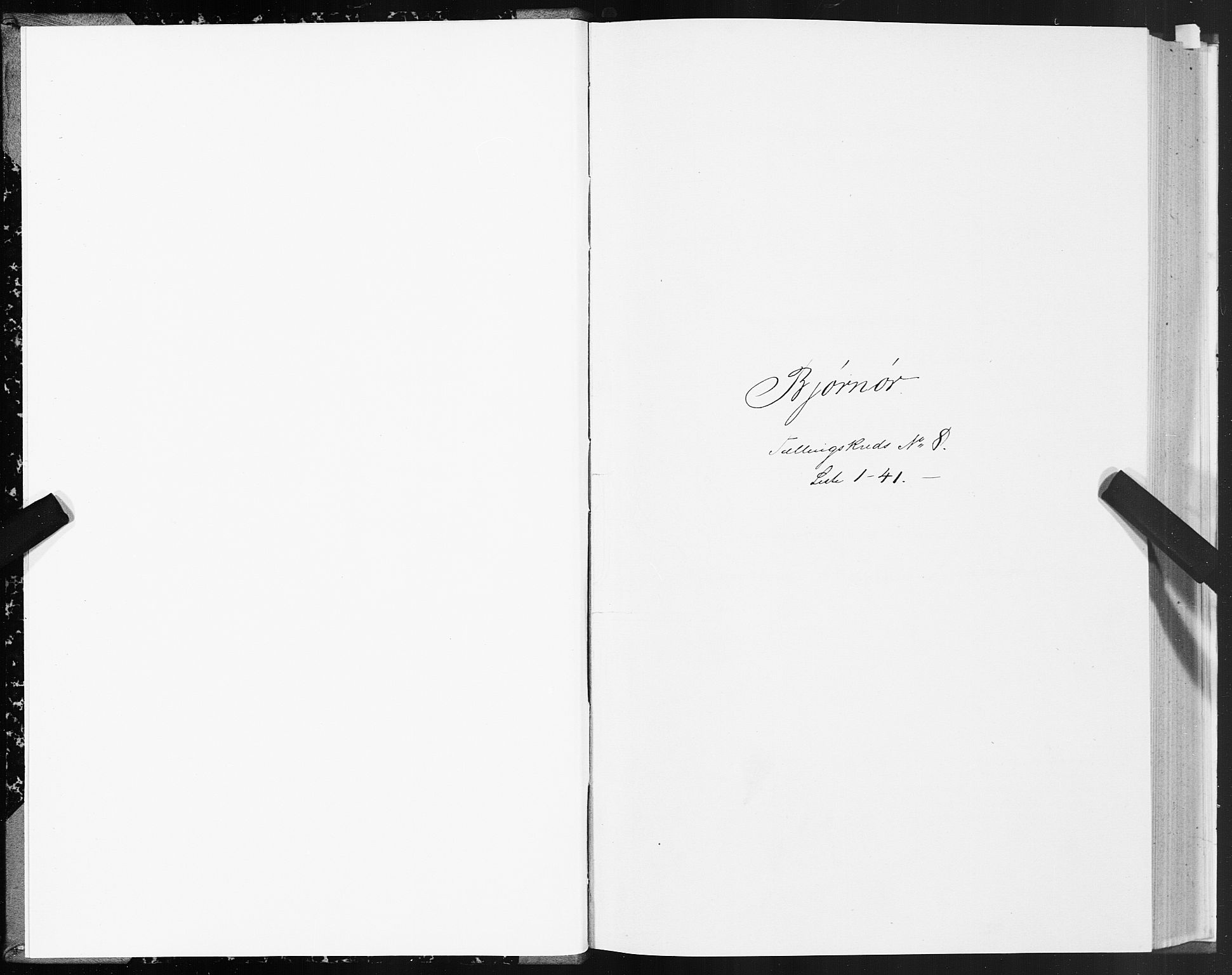 SAT, 1875 census for 1632P Bjørnør, 1875