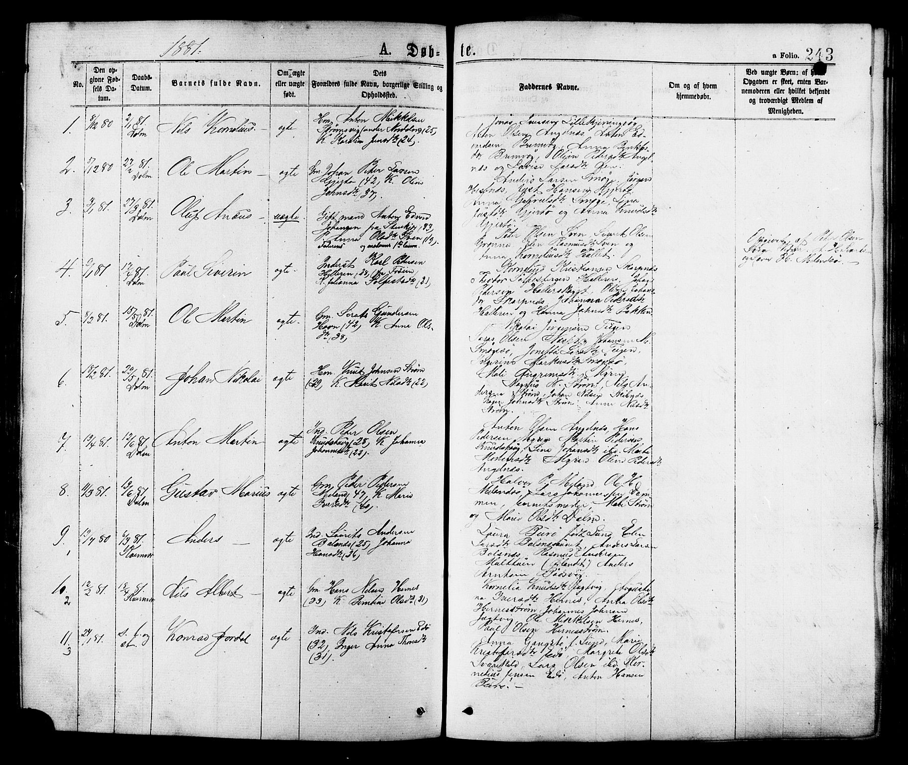 Ministerialprotokoller, klokkerbøker og fødselsregistre - Sør-Trøndelag, SAT/A-1456/634/L0532: Parish register (official) no. 634A08, 1871-1881, p. 243
