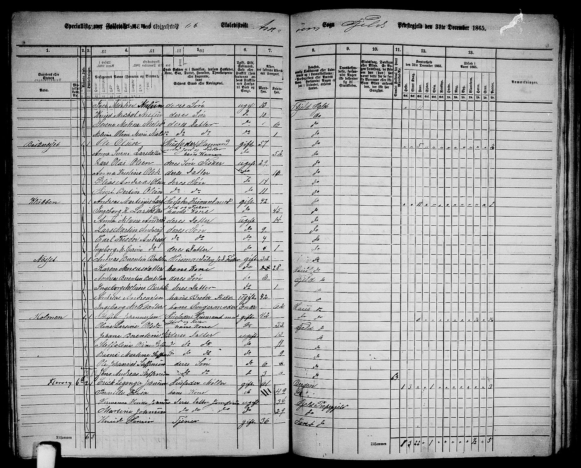 RA, 1865 census for Fjell, 1865, p. 190