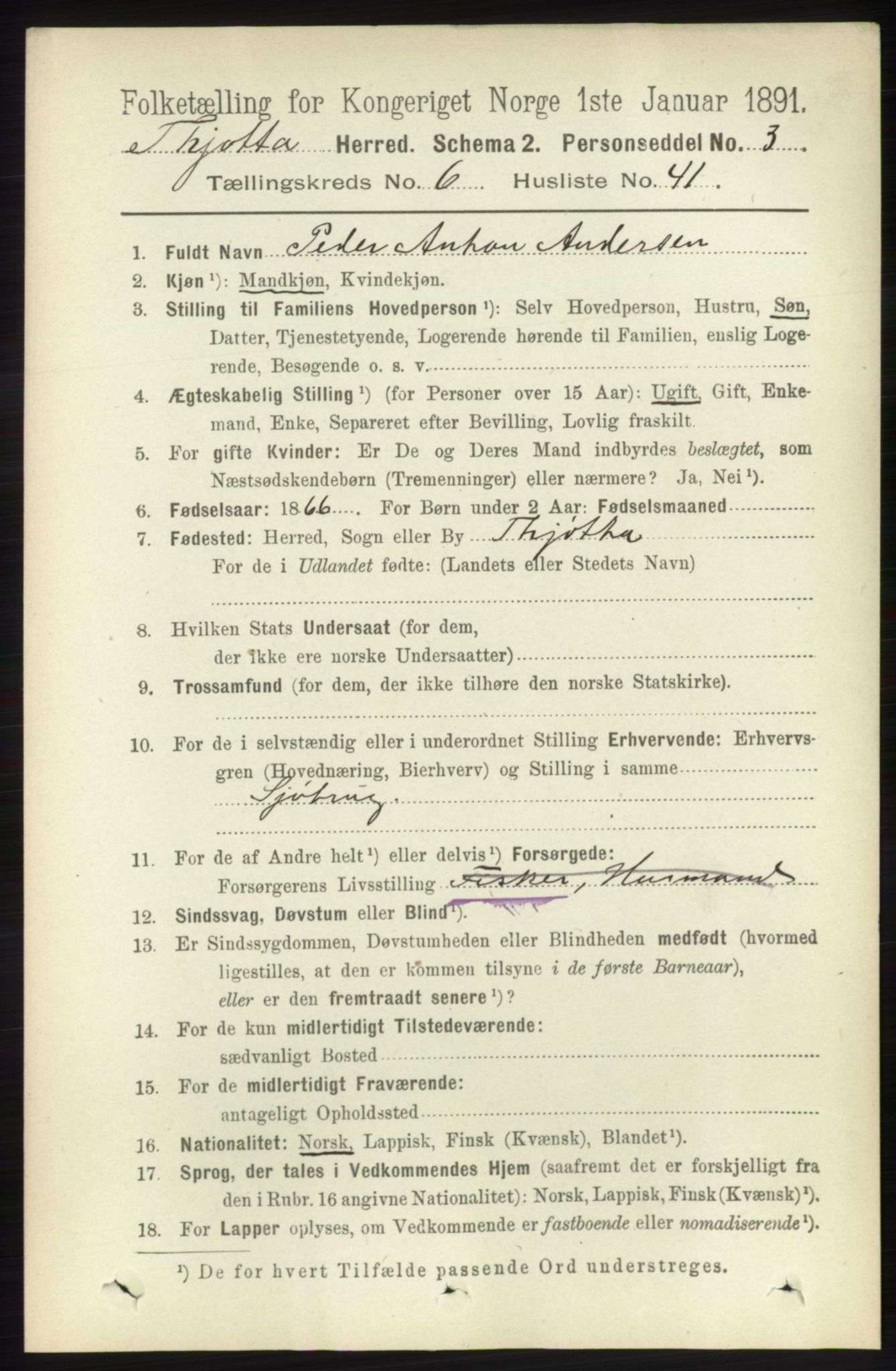 RA, 1891 census for 1817 Tjøtta, 1891, p. 3203