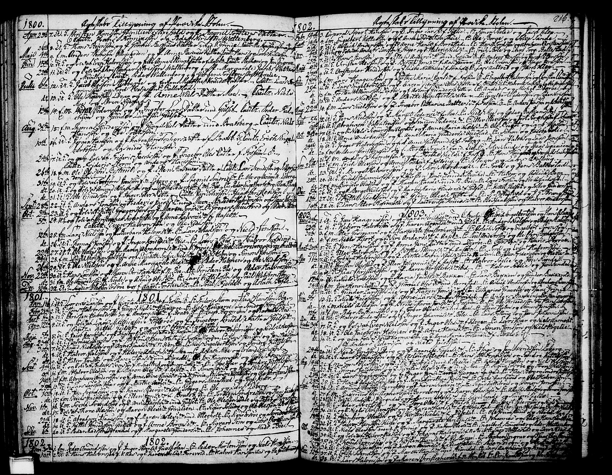 Gjerpen kirkebøker, SAKO/A-265/F/Fa/L0003: Parish register (official) no. I 3, 1796-1814, p. 216