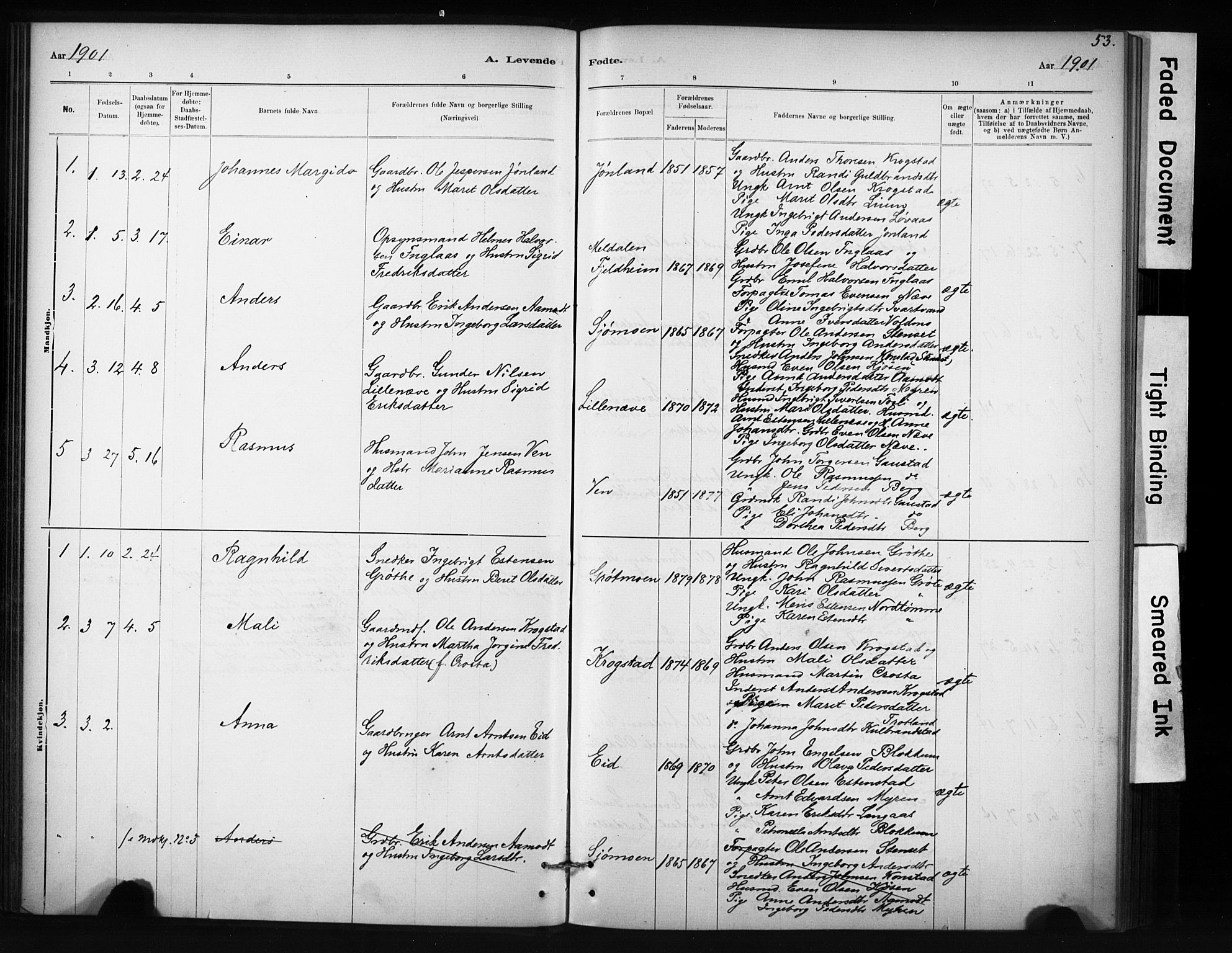 Ministerialprotokoller, klokkerbøker og fødselsregistre - Sør-Trøndelag, SAT/A-1456/694/L1127: Parish register (official) no. 694A01, 1887-1905, p. 53