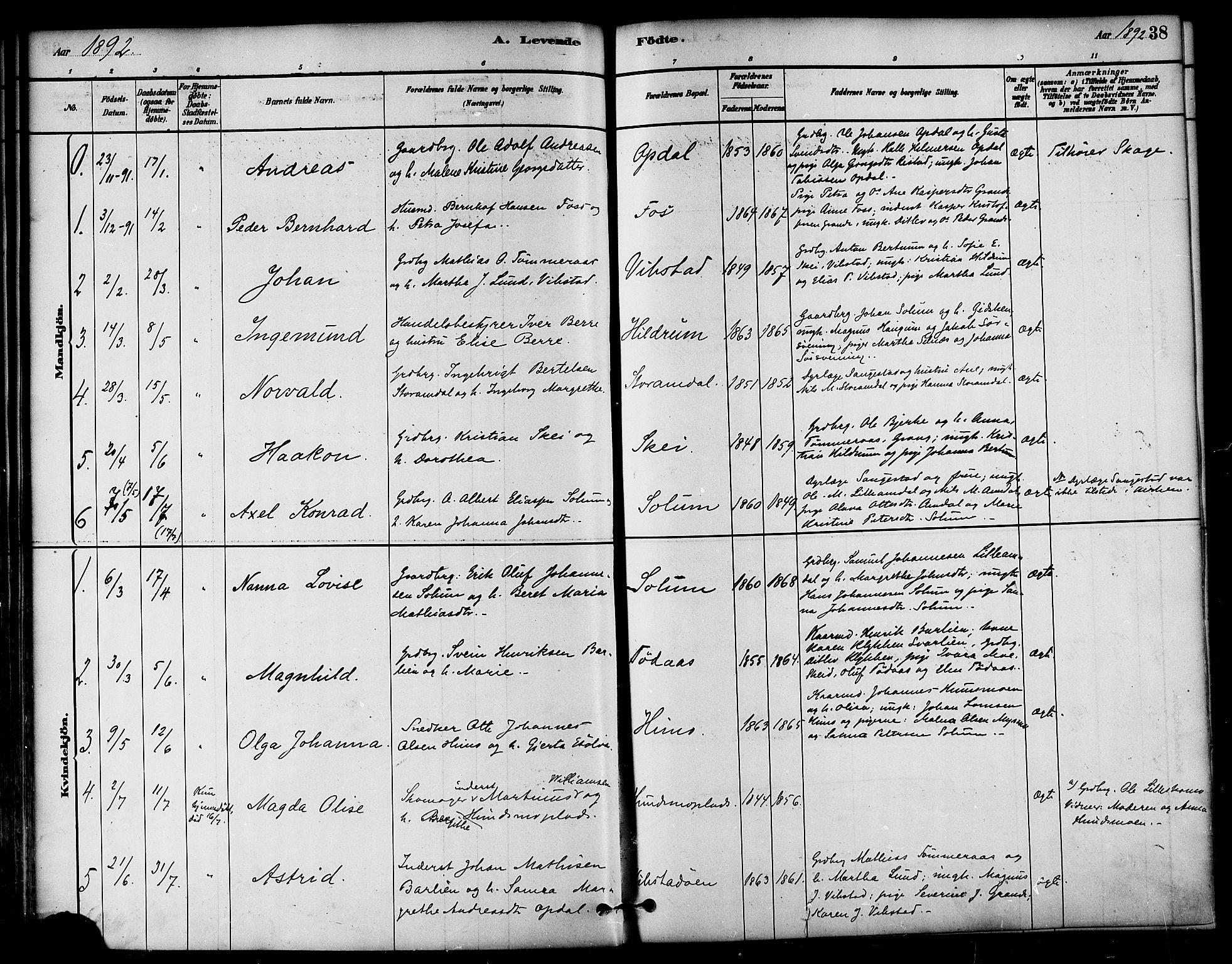 Ministerialprotokoller, klokkerbøker og fødselsregistre - Nord-Trøndelag, AV/SAT-A-1458/764/L0555: Parish register (official) no. 764A10, 1881-1896, p. 38