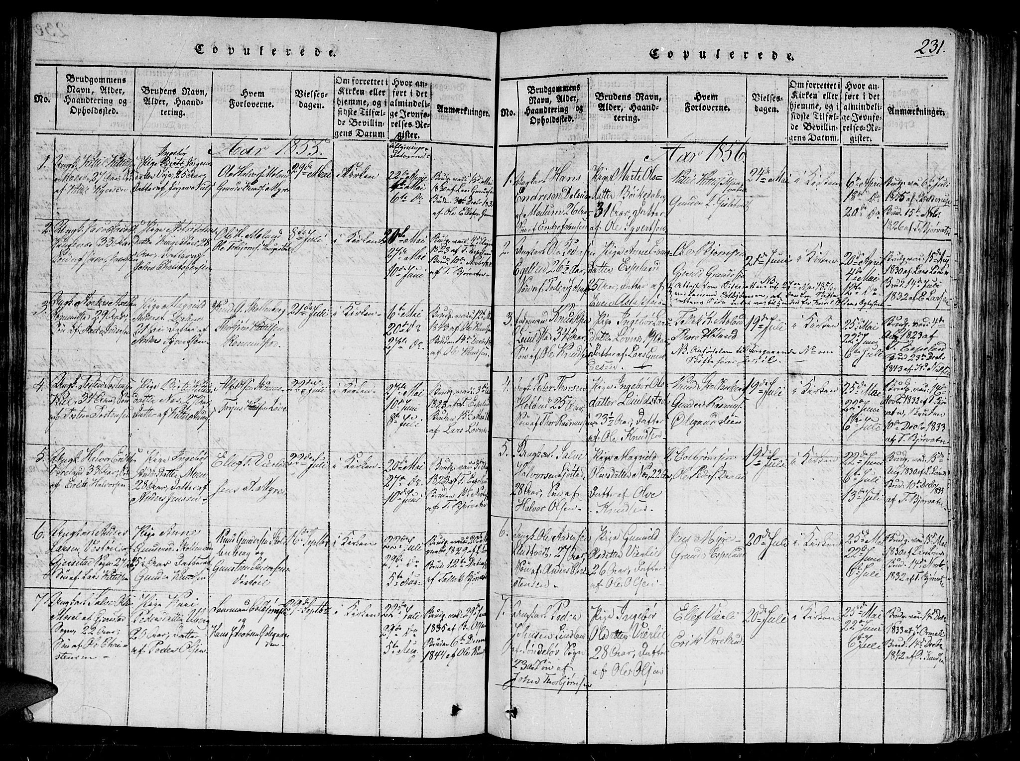 Gjerstad sokneprestkontor, SAK/1111-0014/F/Fb/Fbb/L0001: Parish register (copy) no. B 1, 1813-1863, p. 231