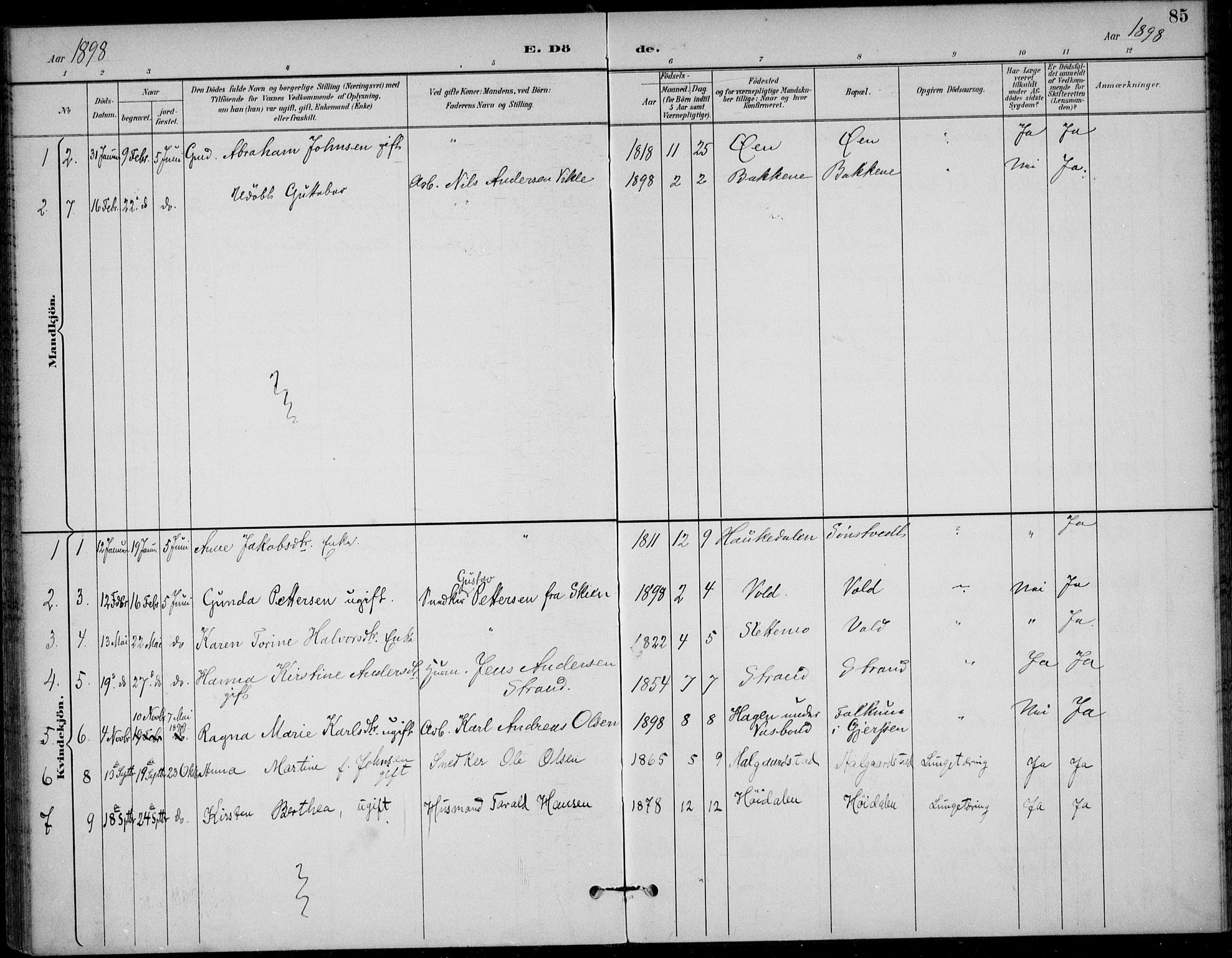 Solum kirkebøker, SAKO/A-306/F/Fc/L0002: Parish register (official) no. III 2, 1892-1906, p. 85