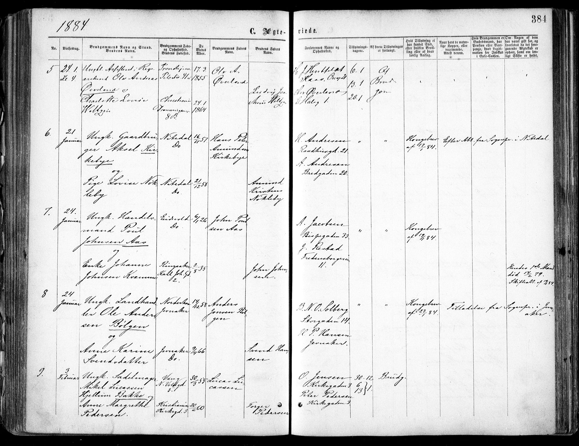 Oslo domkirke Kirkebøker, AV/SAO-A-10752/F/Fa/L0021: Parish register (official) no. 21, 1865-1884, p. 384