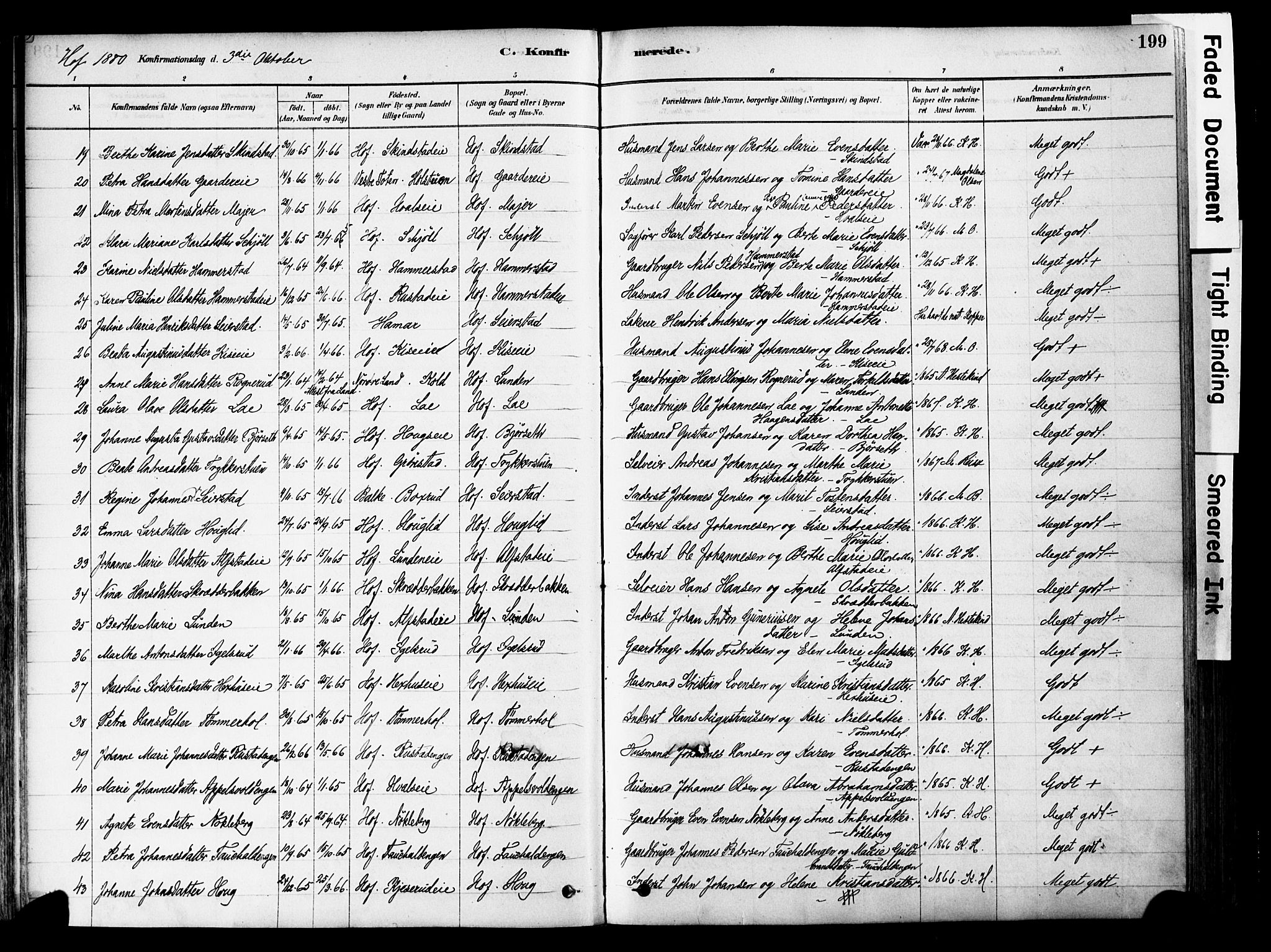 Østre Toten prestekontor, AV/SAH-PREST-104/H/Ha/Haa/L0006: Parish register (official) no. 6 /1, 1878-1896, p. 199