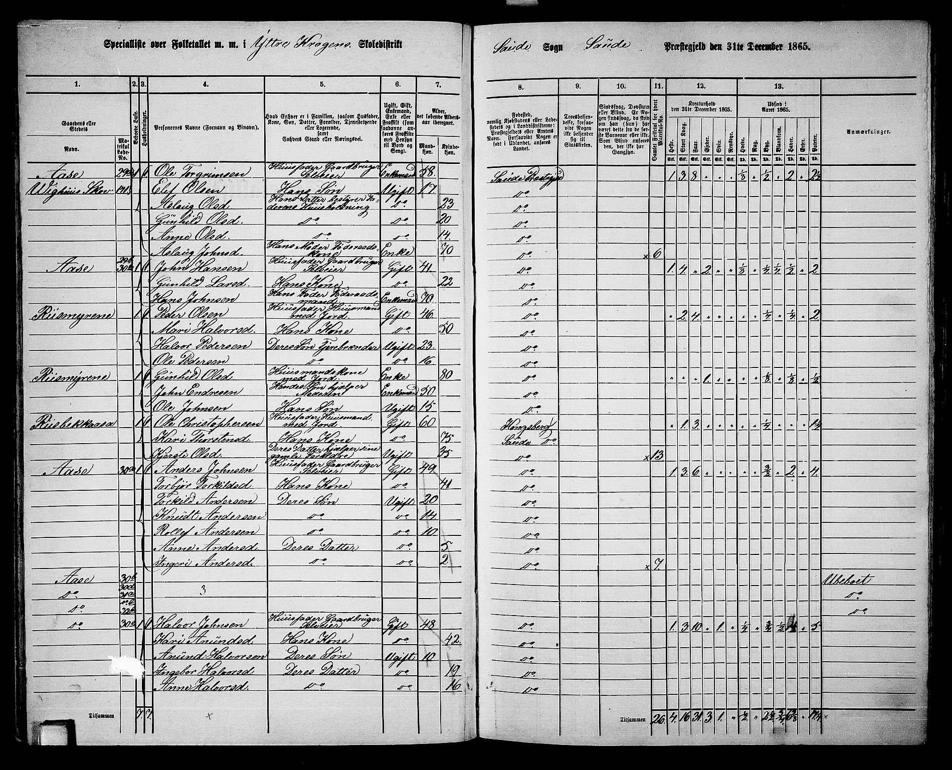 RA, 1865 census for Sauherad, 1865, p. 28