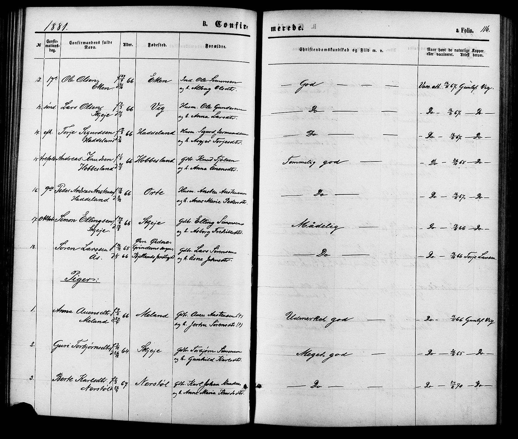 Hægebostad sokneprestkontor, SAK/1111-0024/F/Fa/Fab/L0003: Parish register (official) no. A 3, 1872-1886, p. 116
