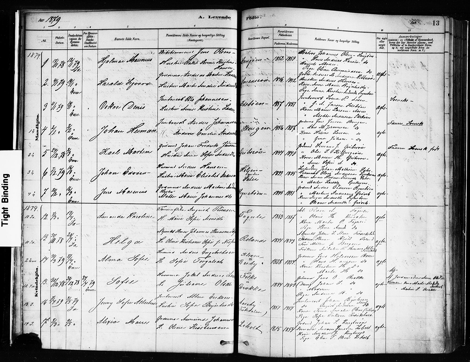 Idd prestekontor Kirkebøker, AV/SAO-A-10911/F/Fc/L0006a: Parish register (official) no. III 6A, 1878-1903, p. 13