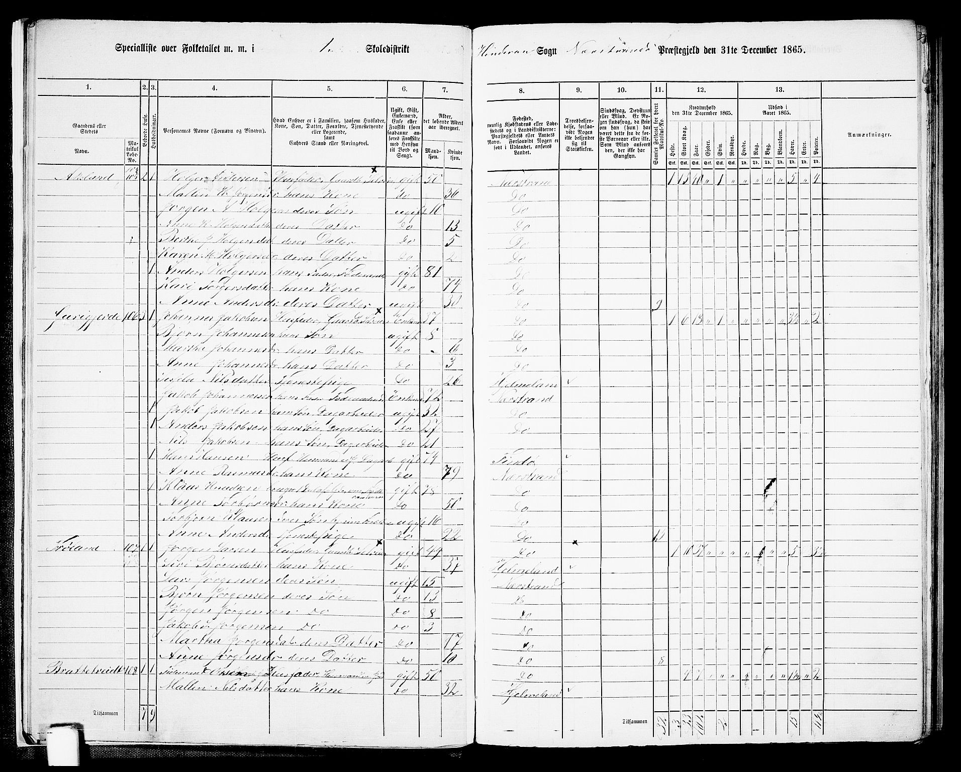 RA, 1865 census for Nedstrand, 1865, p. 13