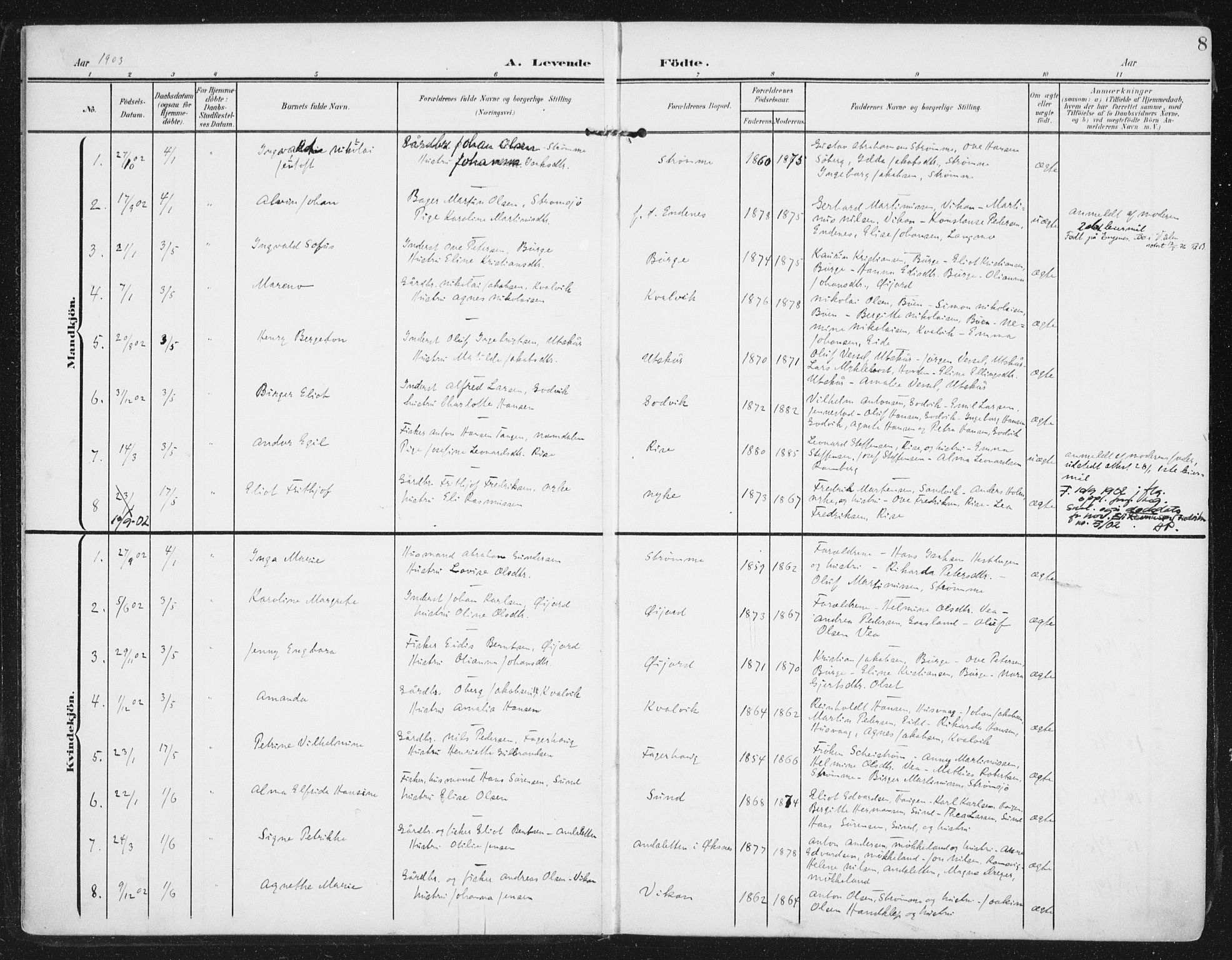 Ministerialprotokoller, klokkerbøker og fødselsregistre - Nordland, SAT/A-1459/892/L1321: Parish register (official) no. 892A02, 1902-1918, p. 8