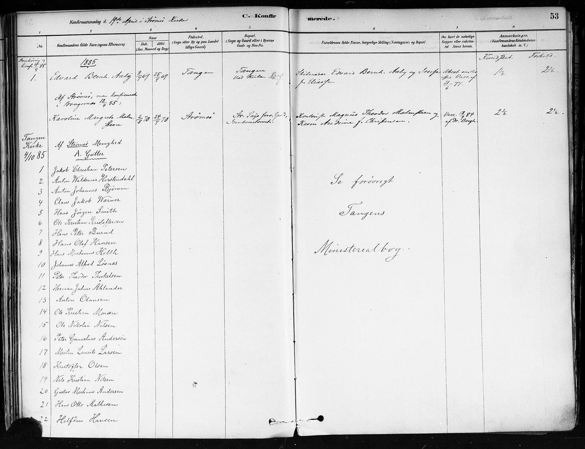 Strømsø kirkebøker, AV/SAKO-A-246/F/Fa/L0022: Parish register (official) no. I 22, 1879-1899, p. 53